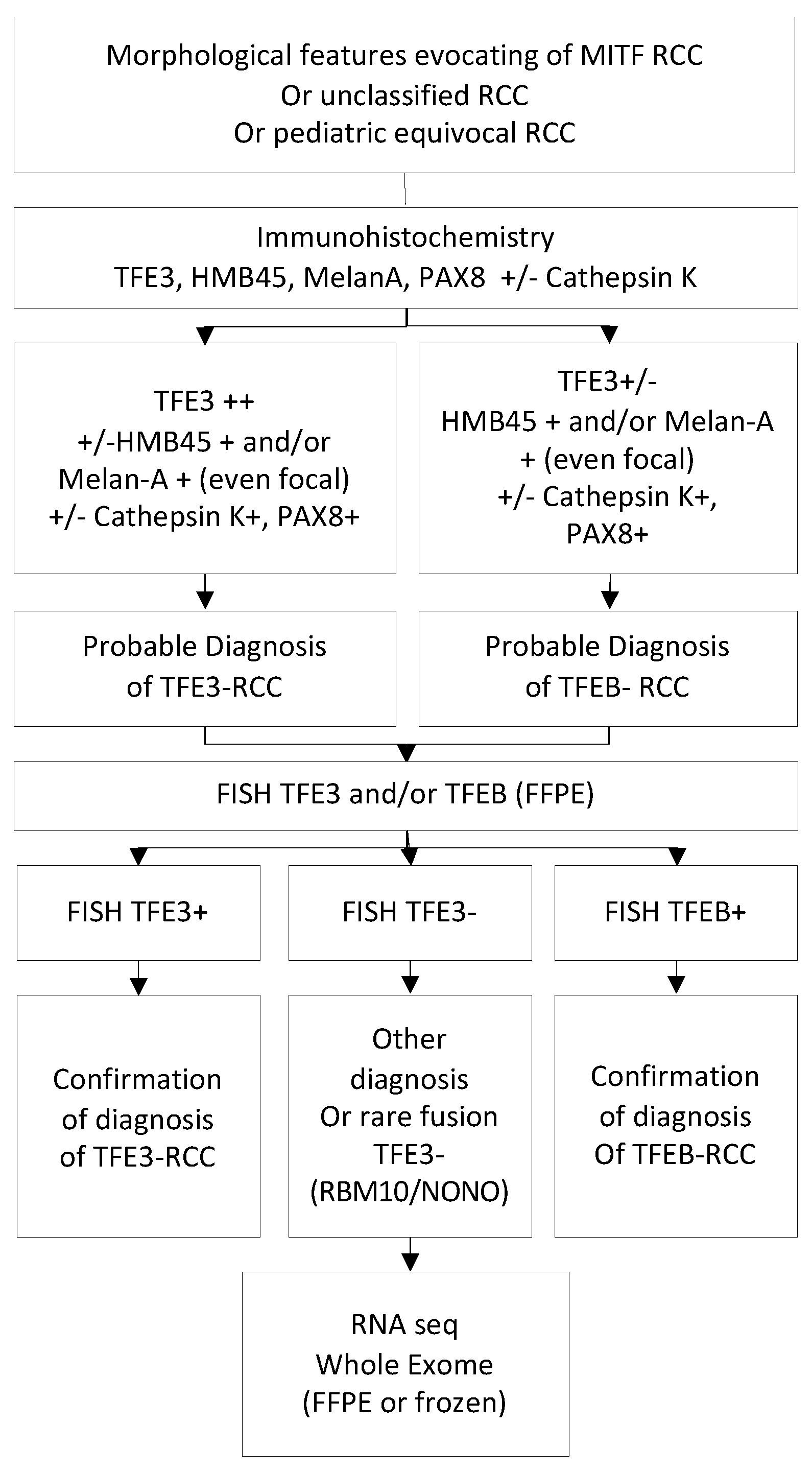 Ijms 23 07649 g003 550