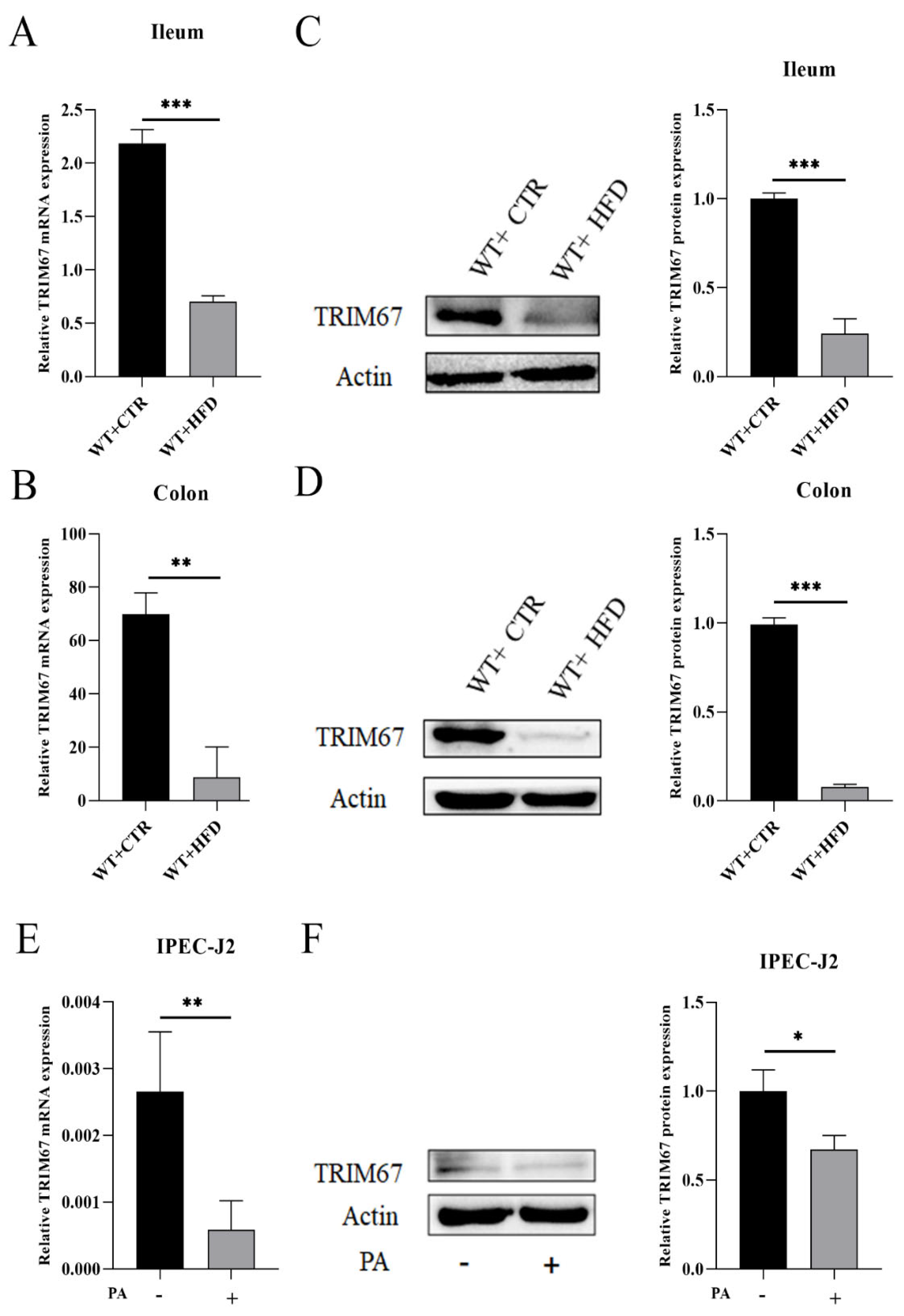 Ijms 23 07650 g001 550