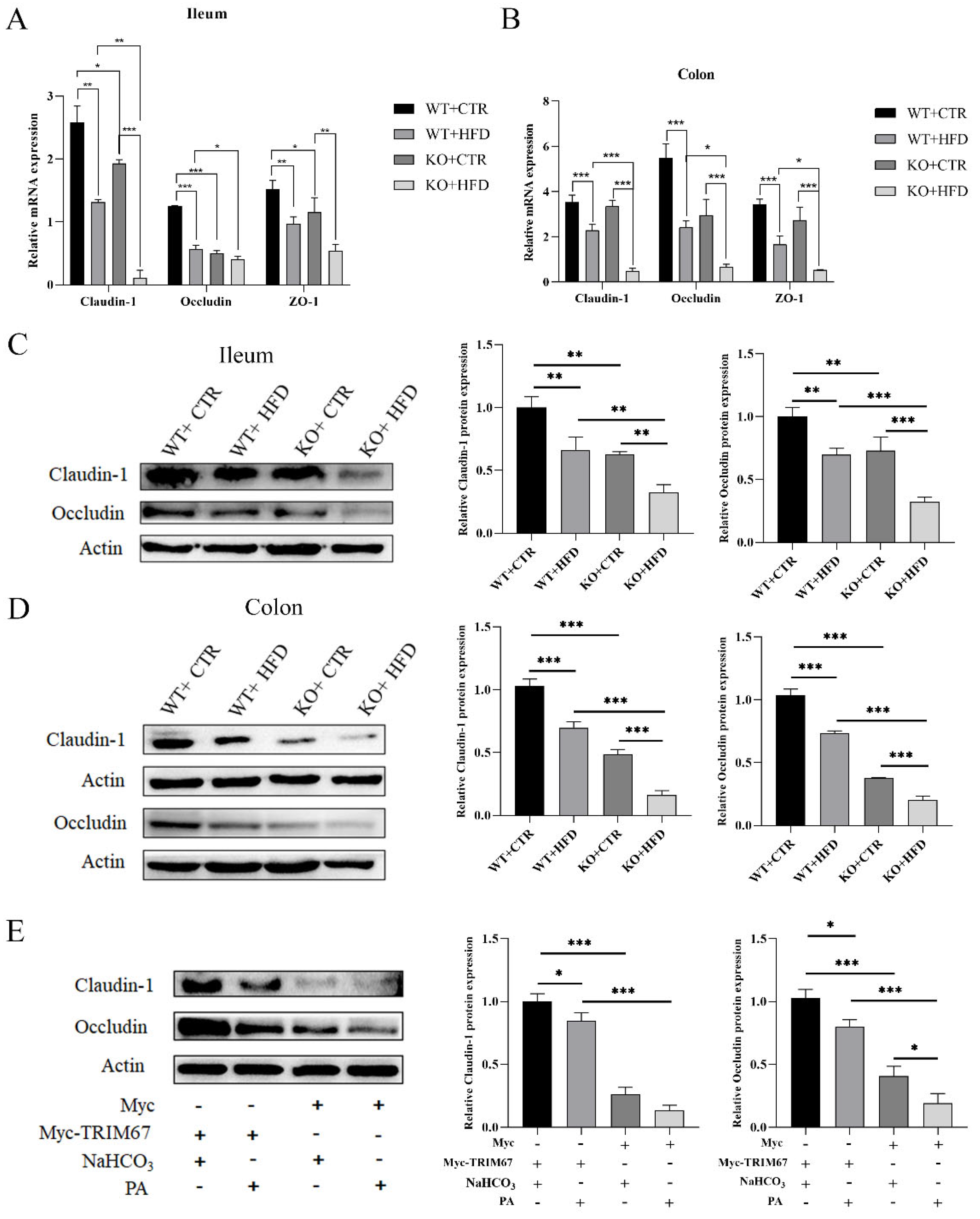 Ijms 23 07650 g003 550