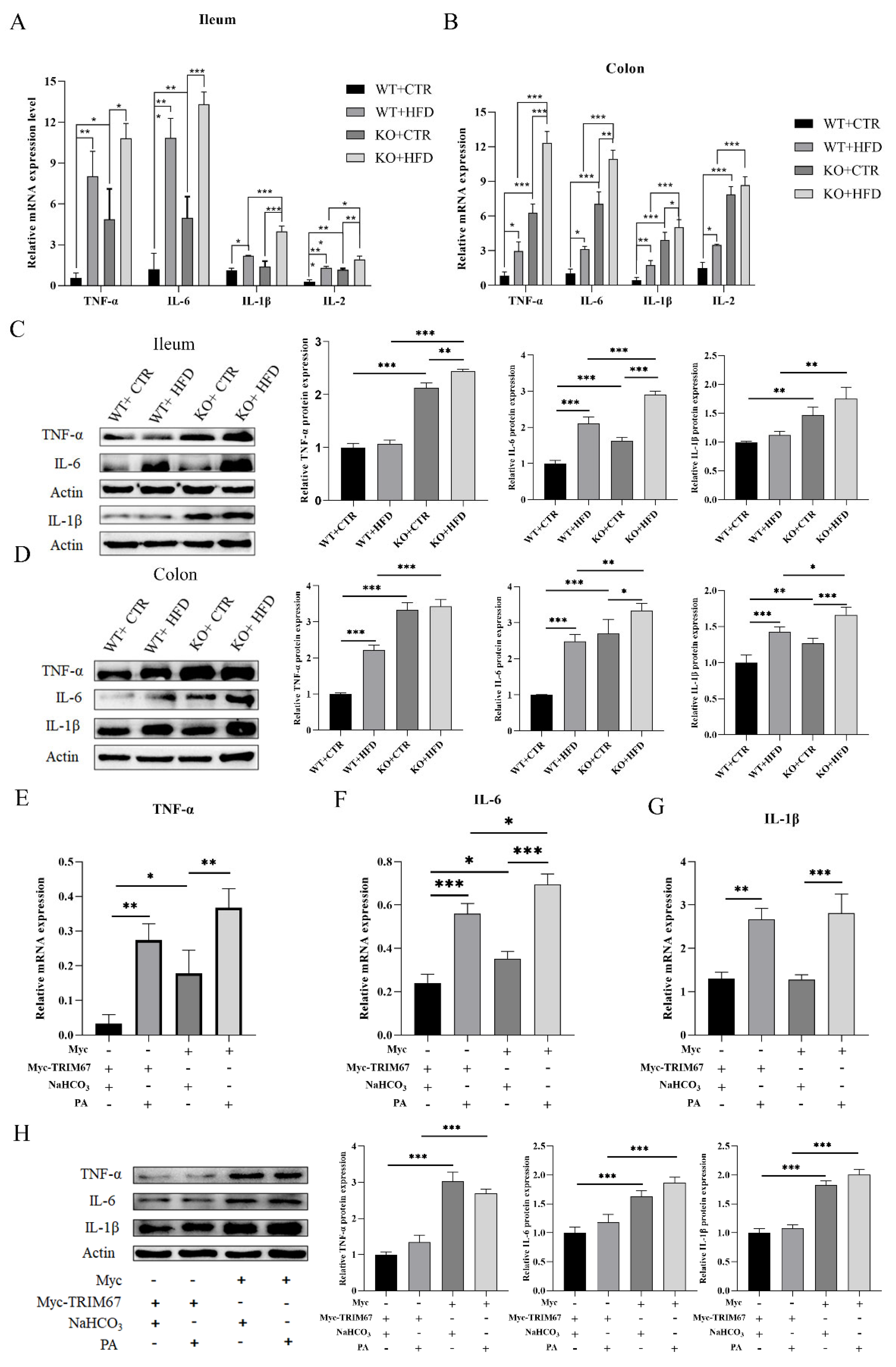 Ijms 23 07650 g005 550