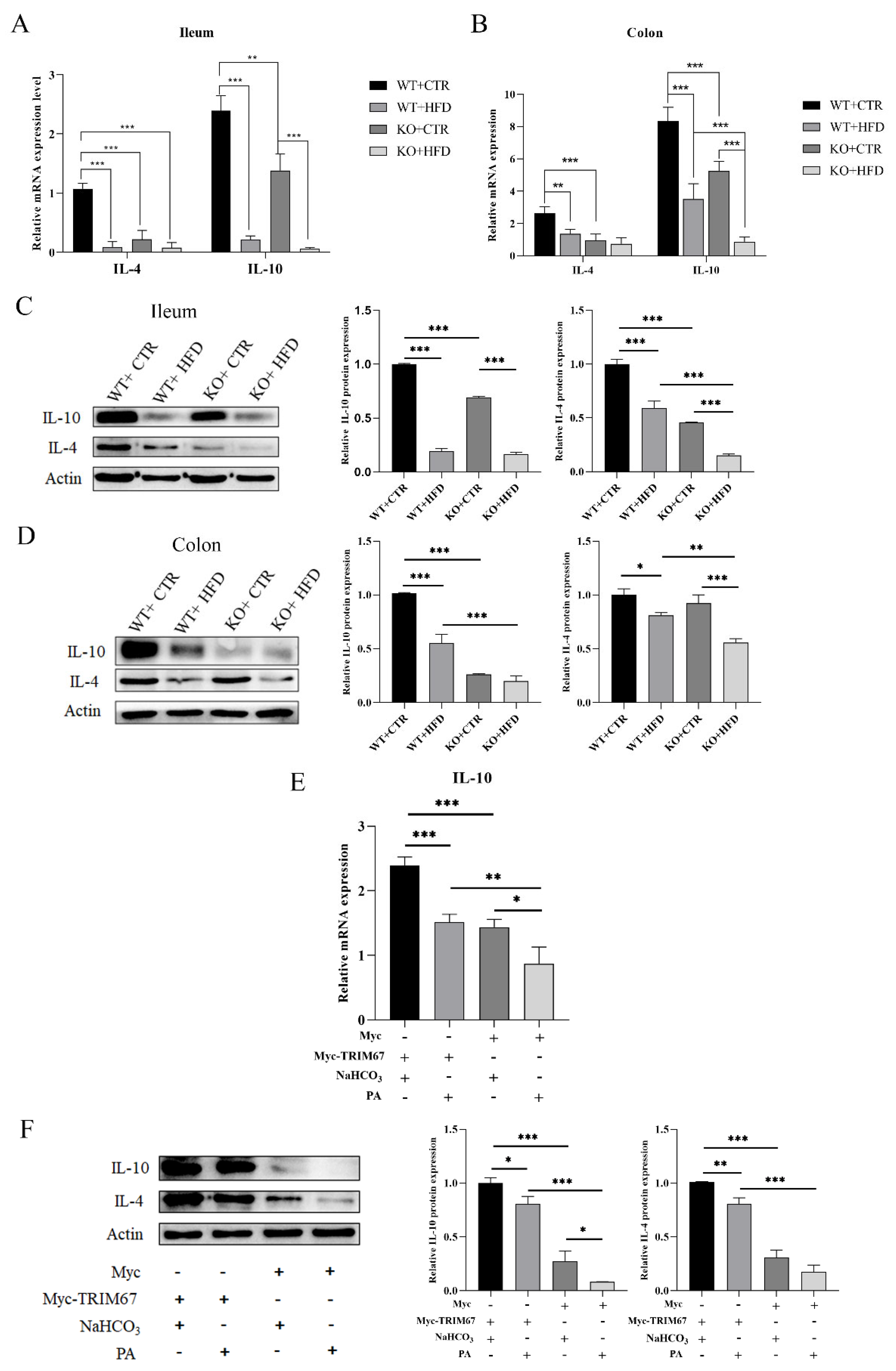 Ijms 23 07650 g006 550