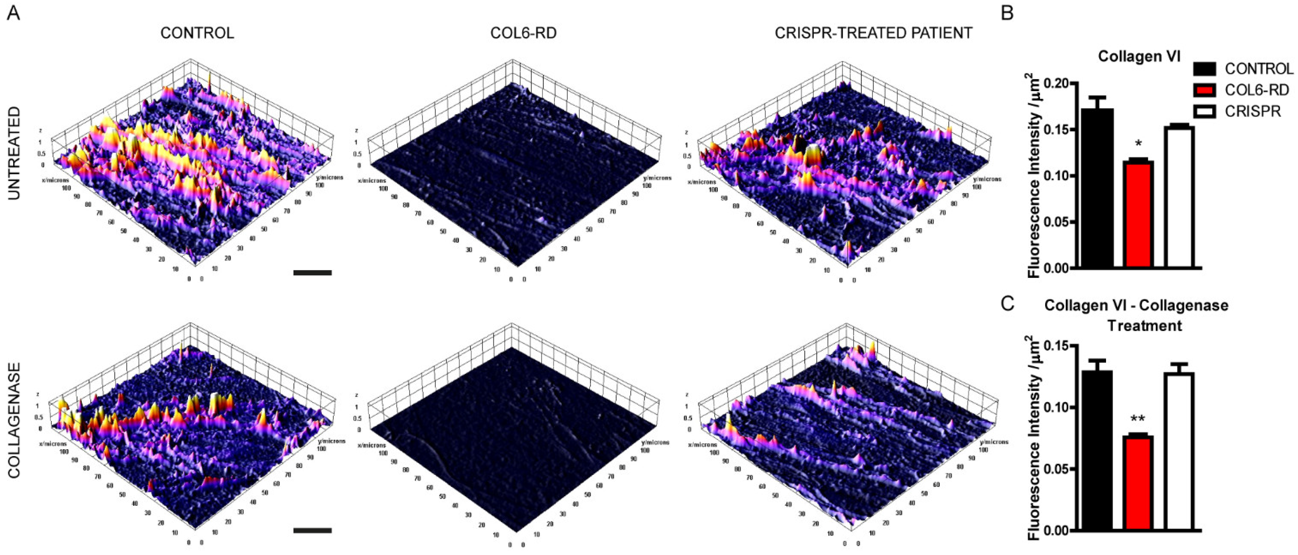 Ijms 23 07651 g001 550