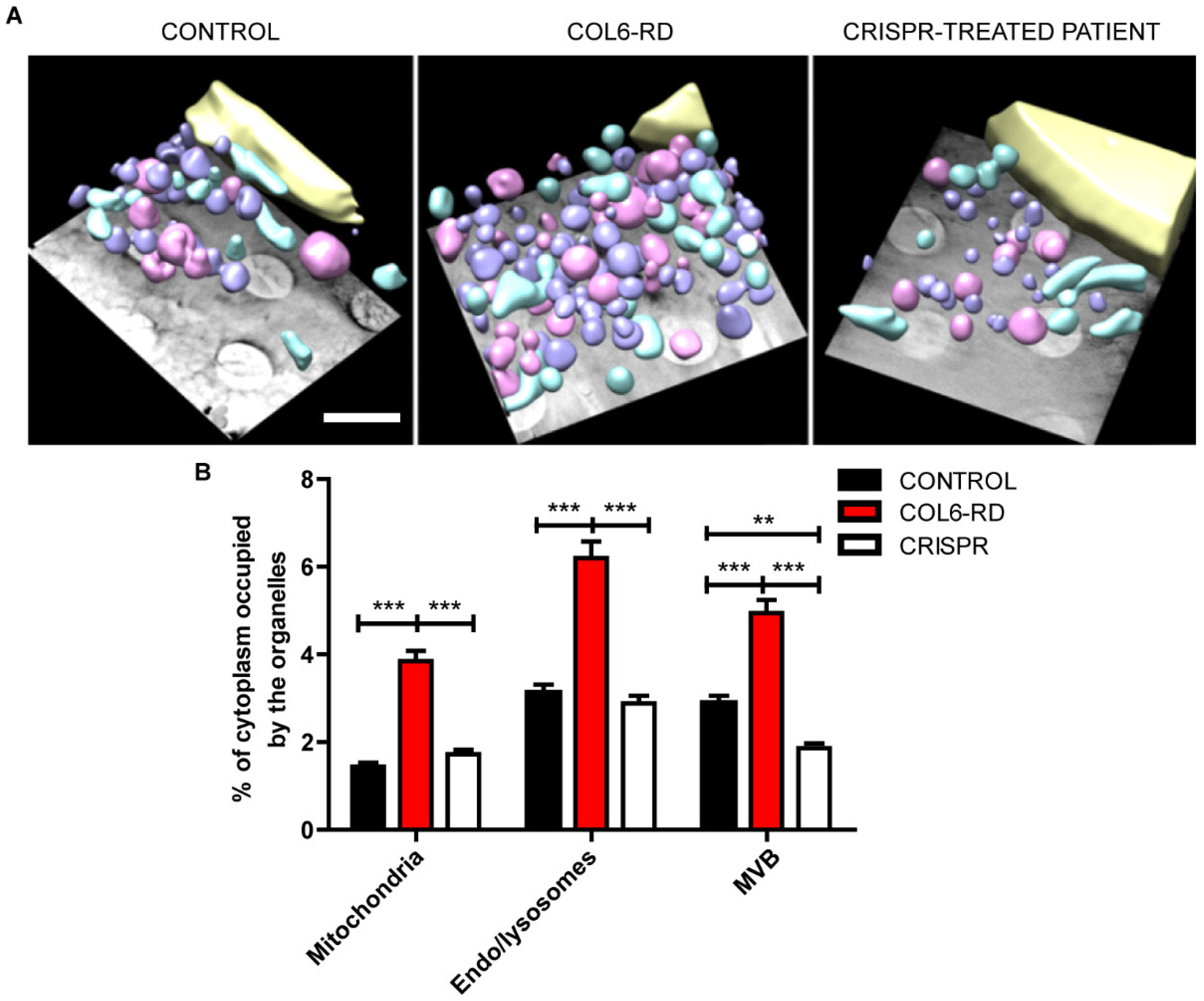 Ijms 23 07651 g002 550