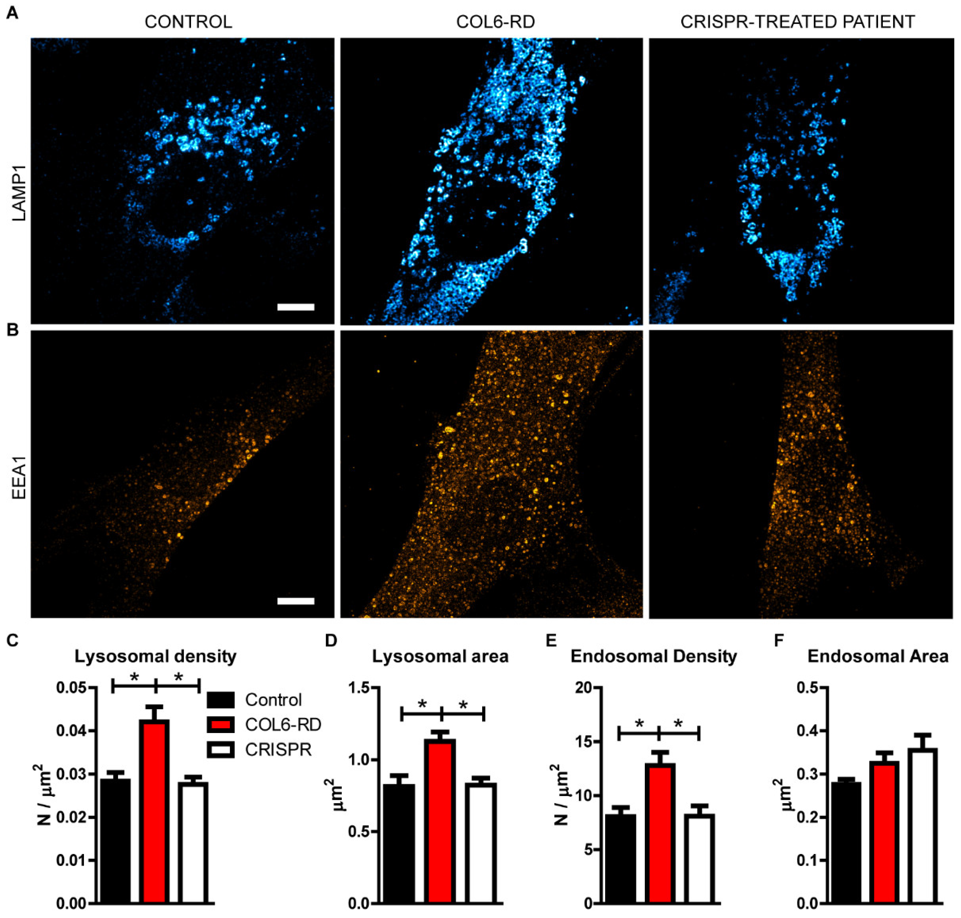 Ijms 23 07651 g003 550