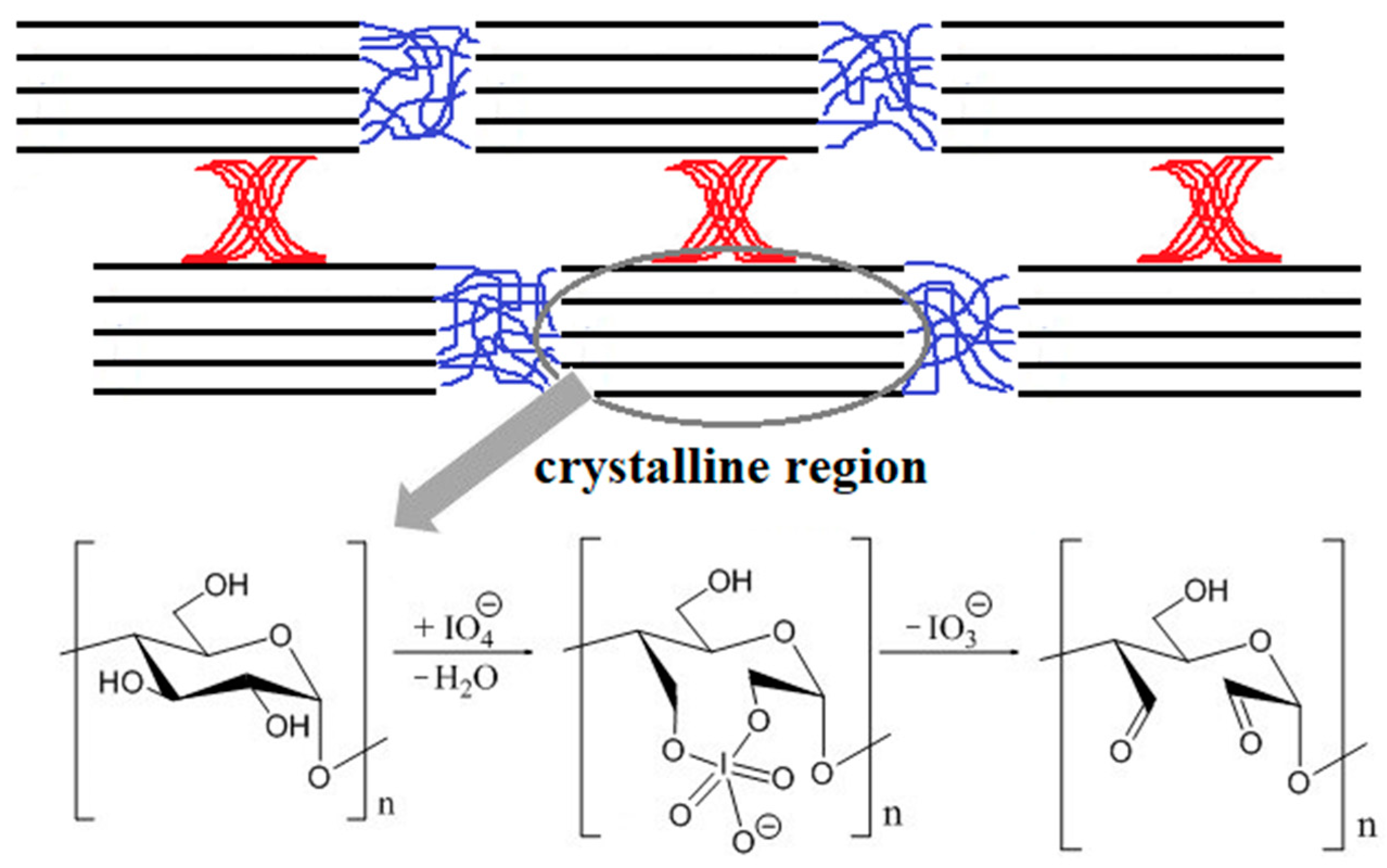 Ijms 23 07652 g001 550
