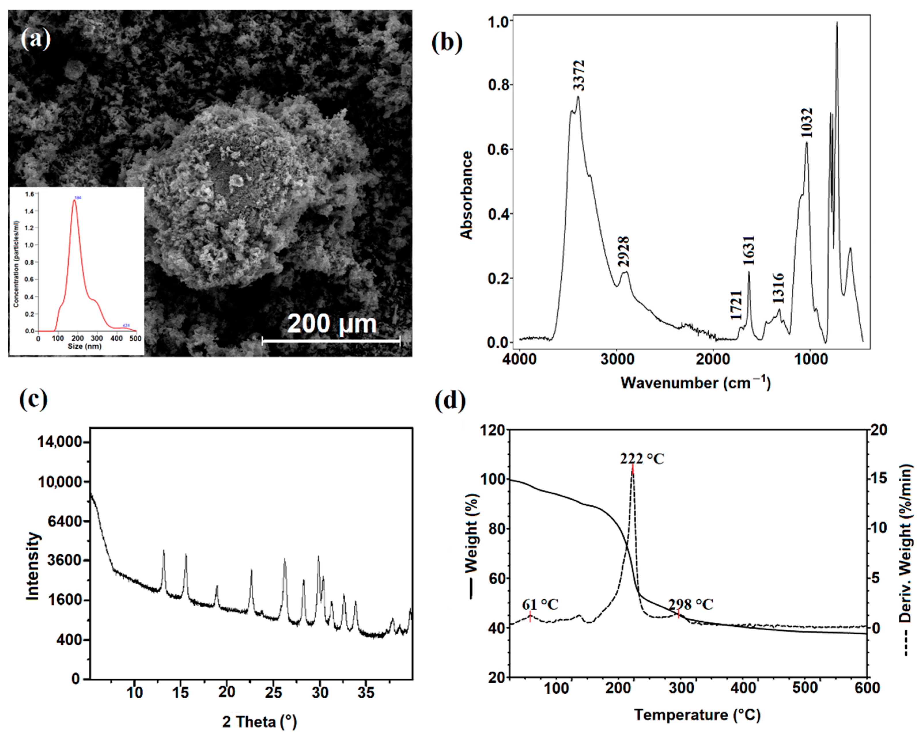 Ijms 23 07652 g003 550