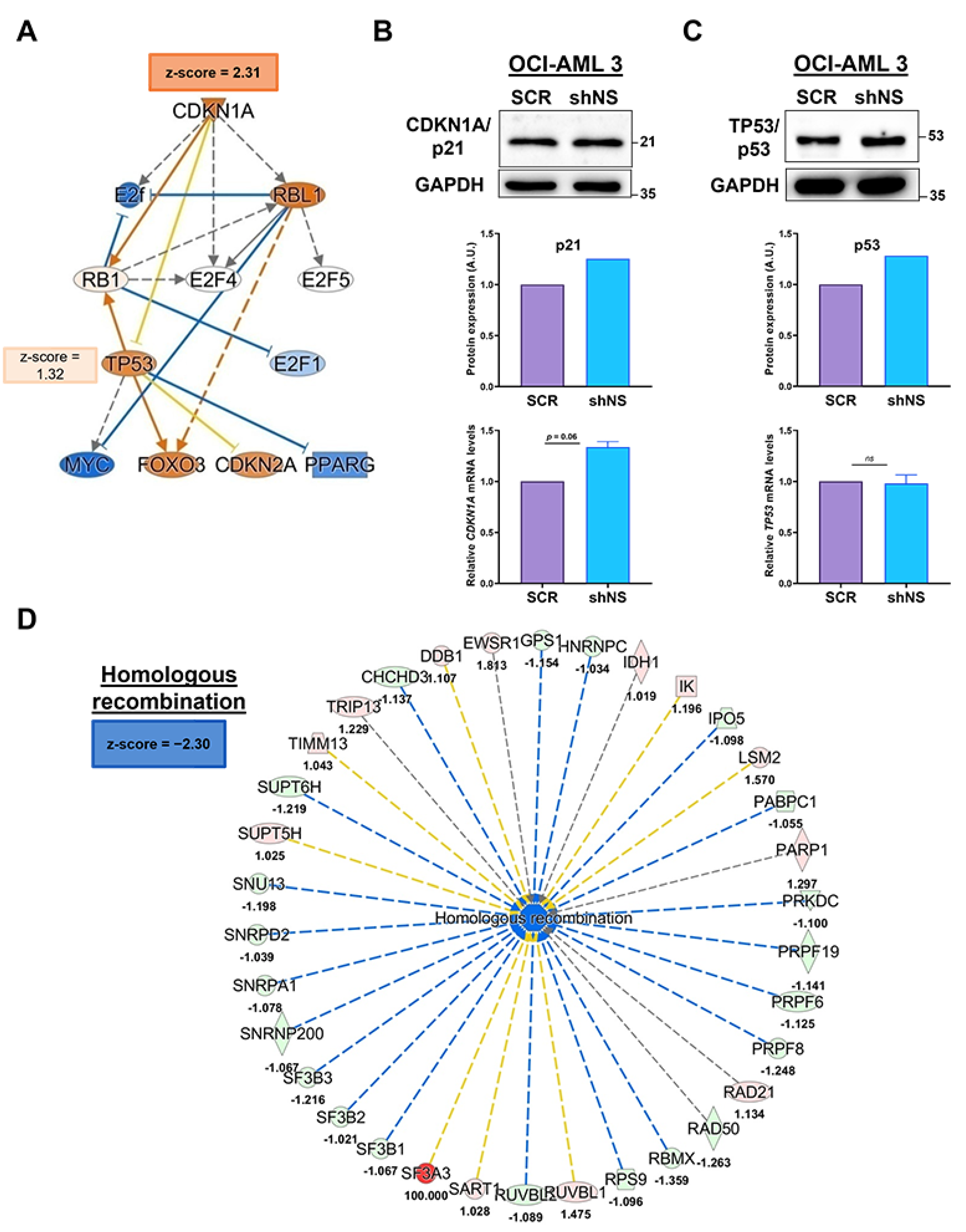 Ijms 23 07655 g002 550