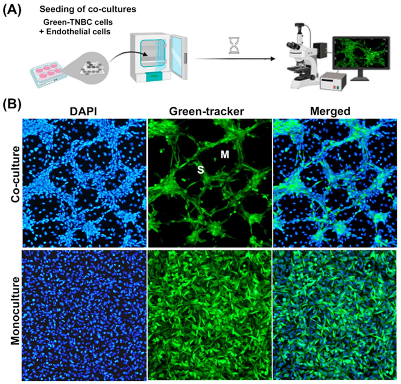 Ijms 23 07659 g001 550