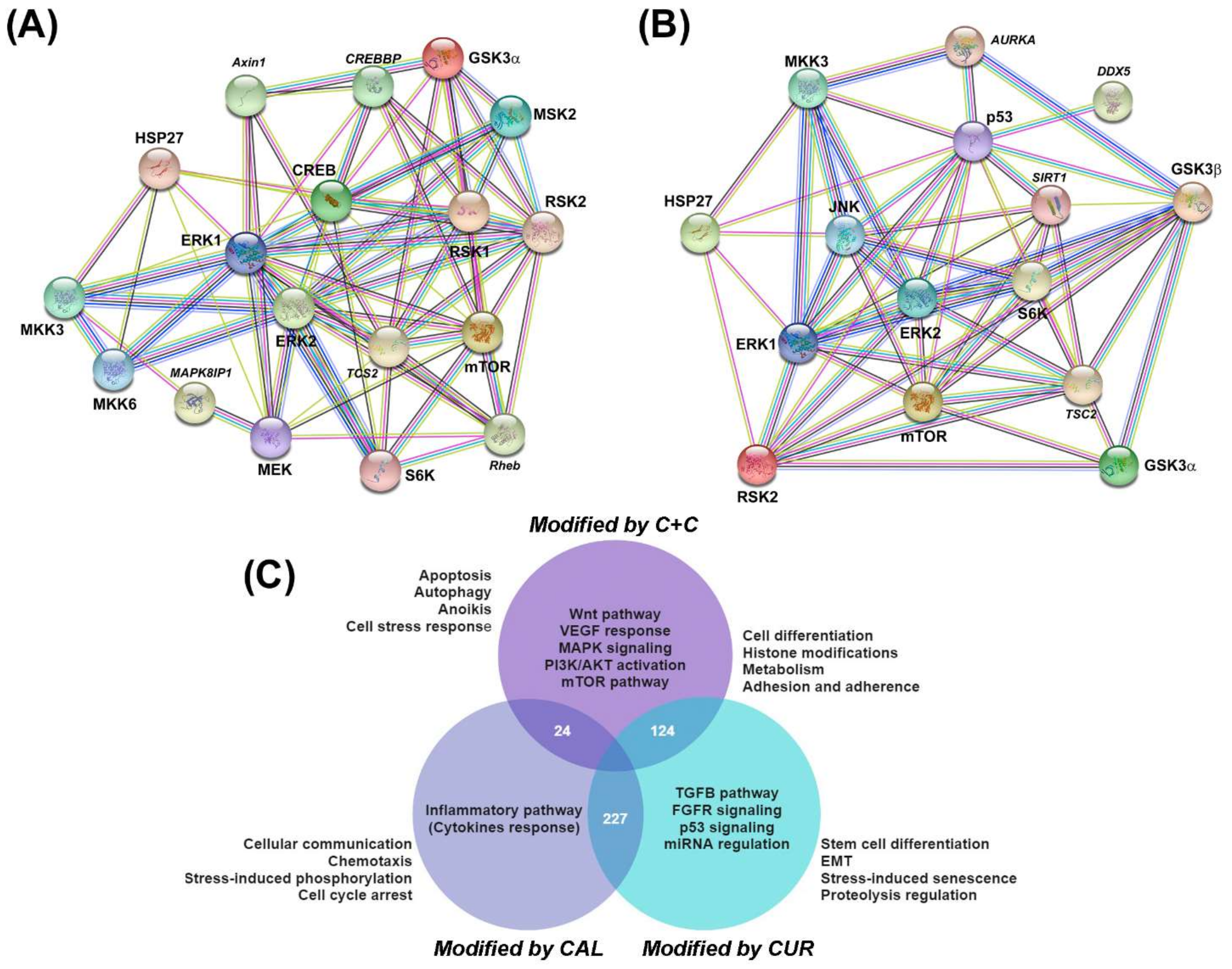 Ijms 23 07659 g004 550