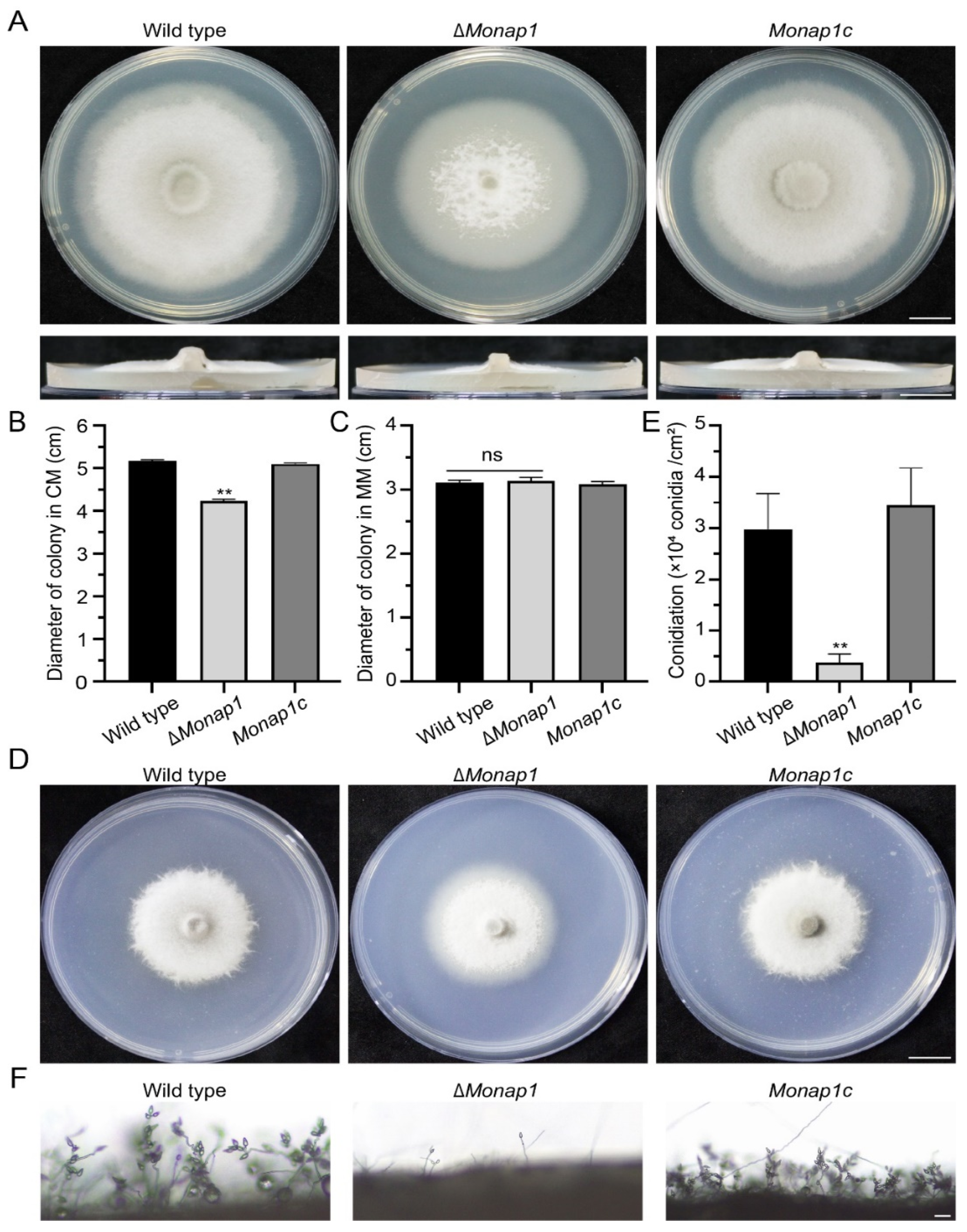 Ijms 23 07662 g002 Ijms 23 07662 g002