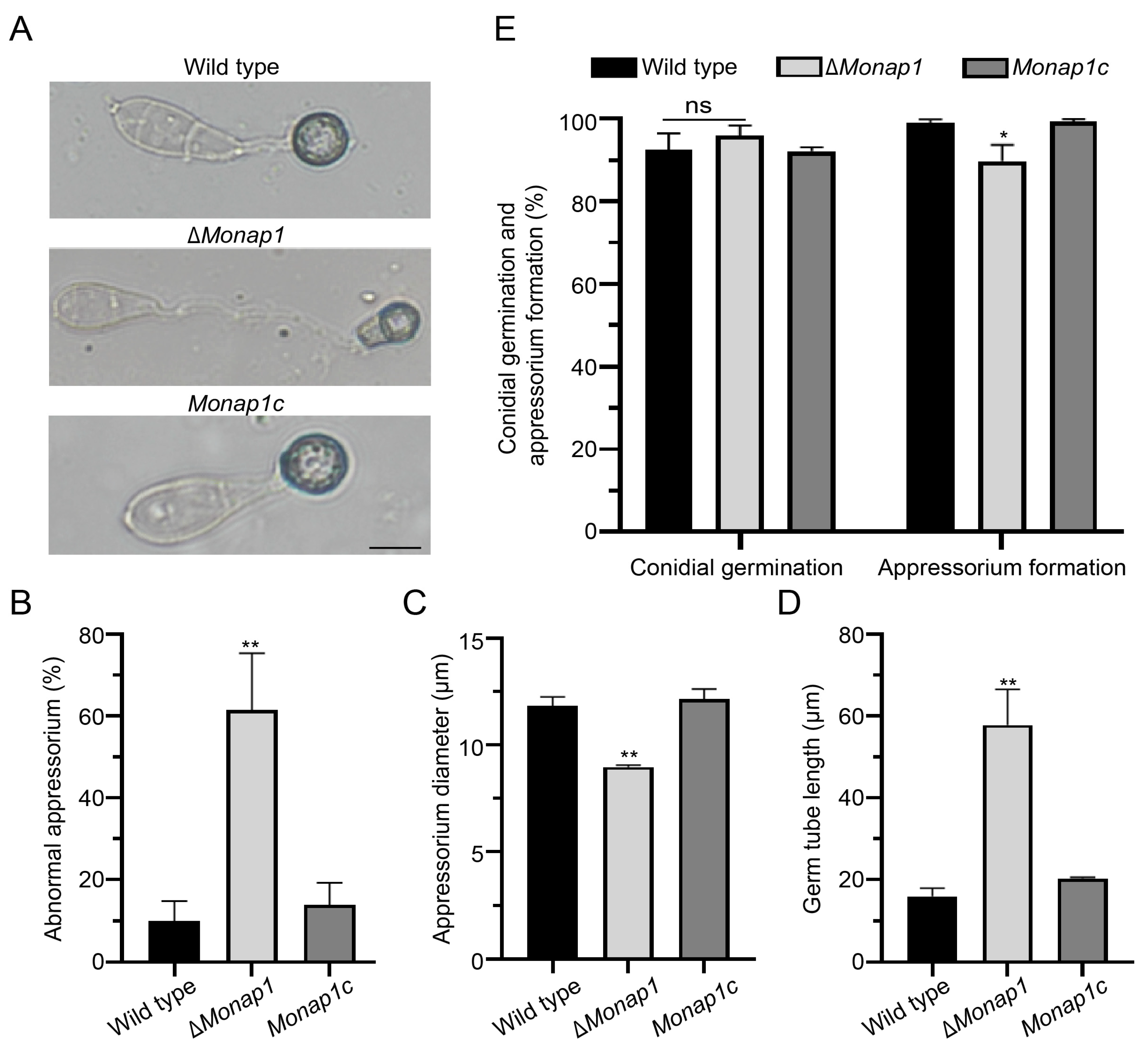 Ijms 23 07662 g003 Ijms 23 07662 g003