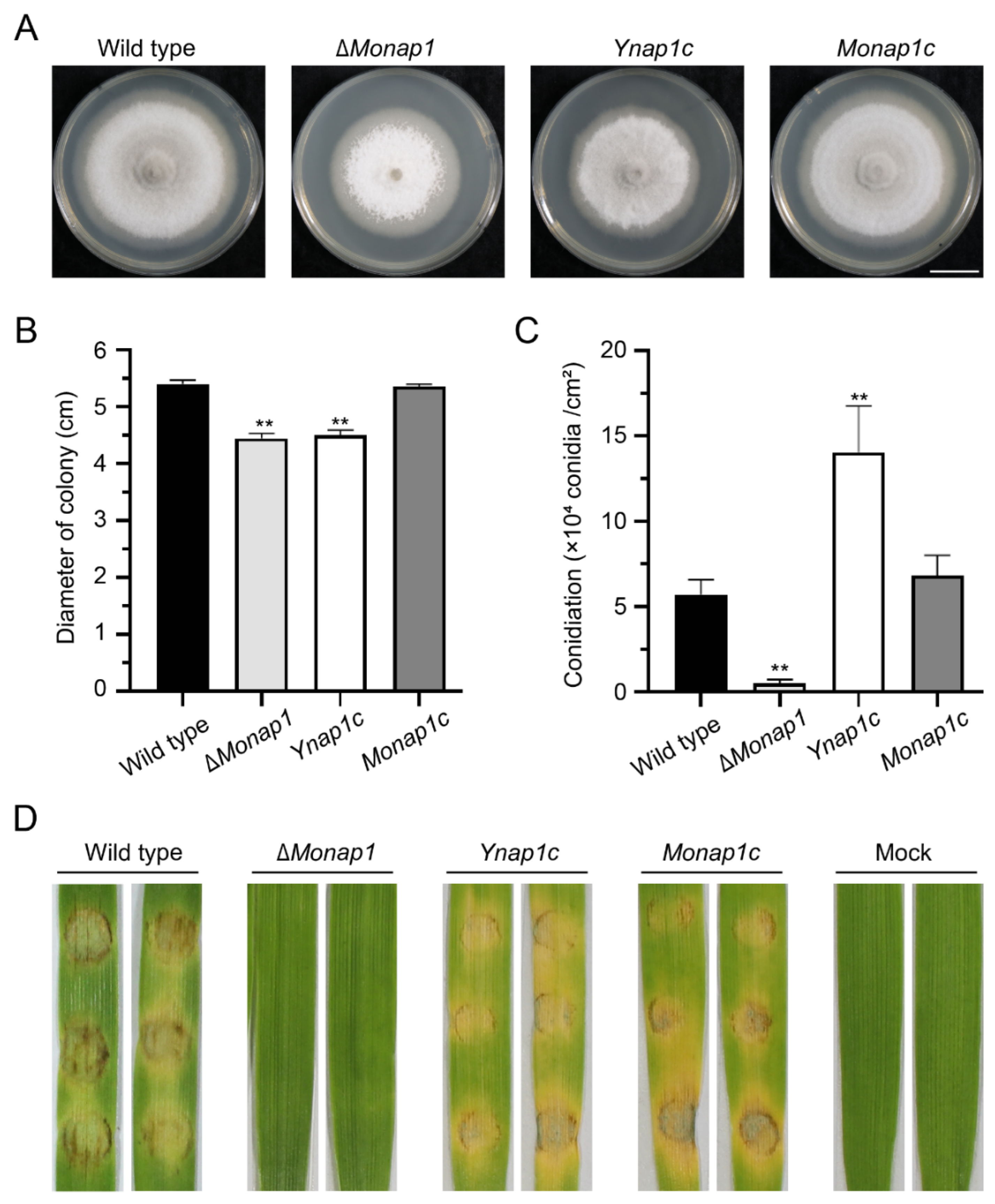 Ijms 23 07662 g004 Ijms 23 07662 g004