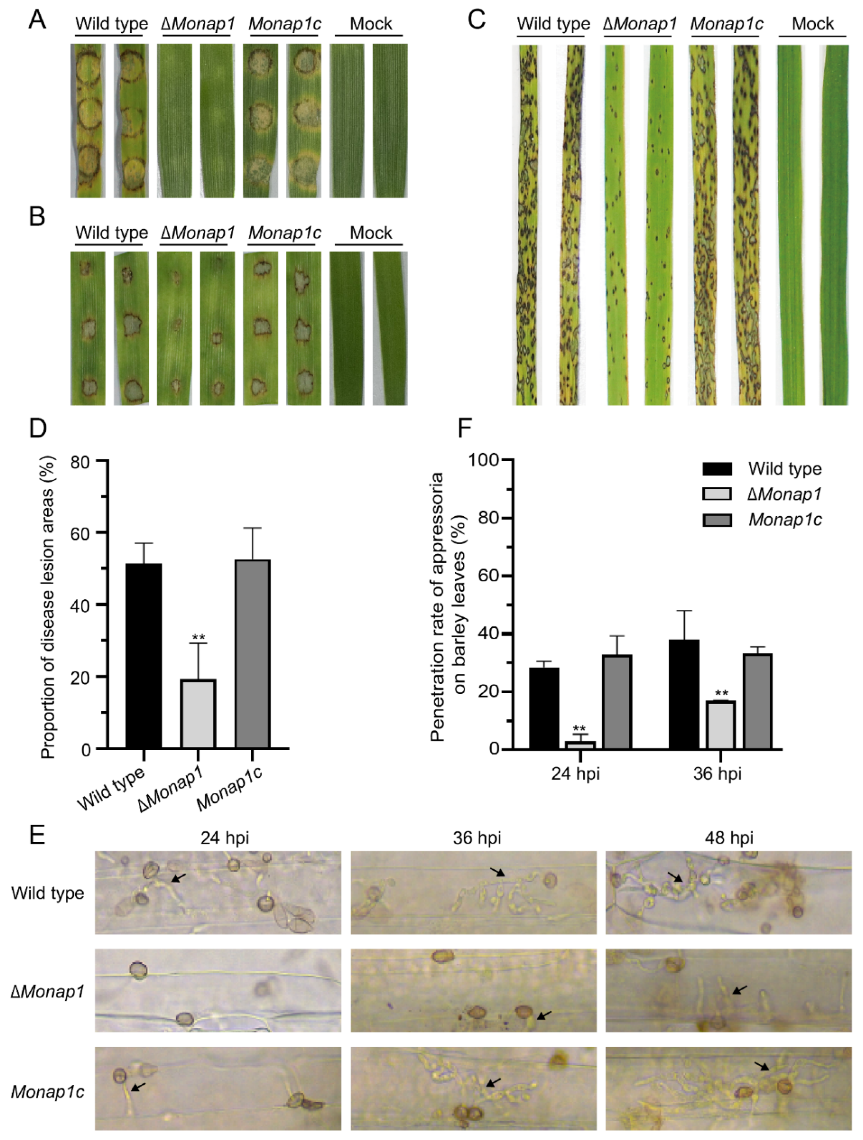 Ijms 23 07662 g005 Ijms 23 07662 g005