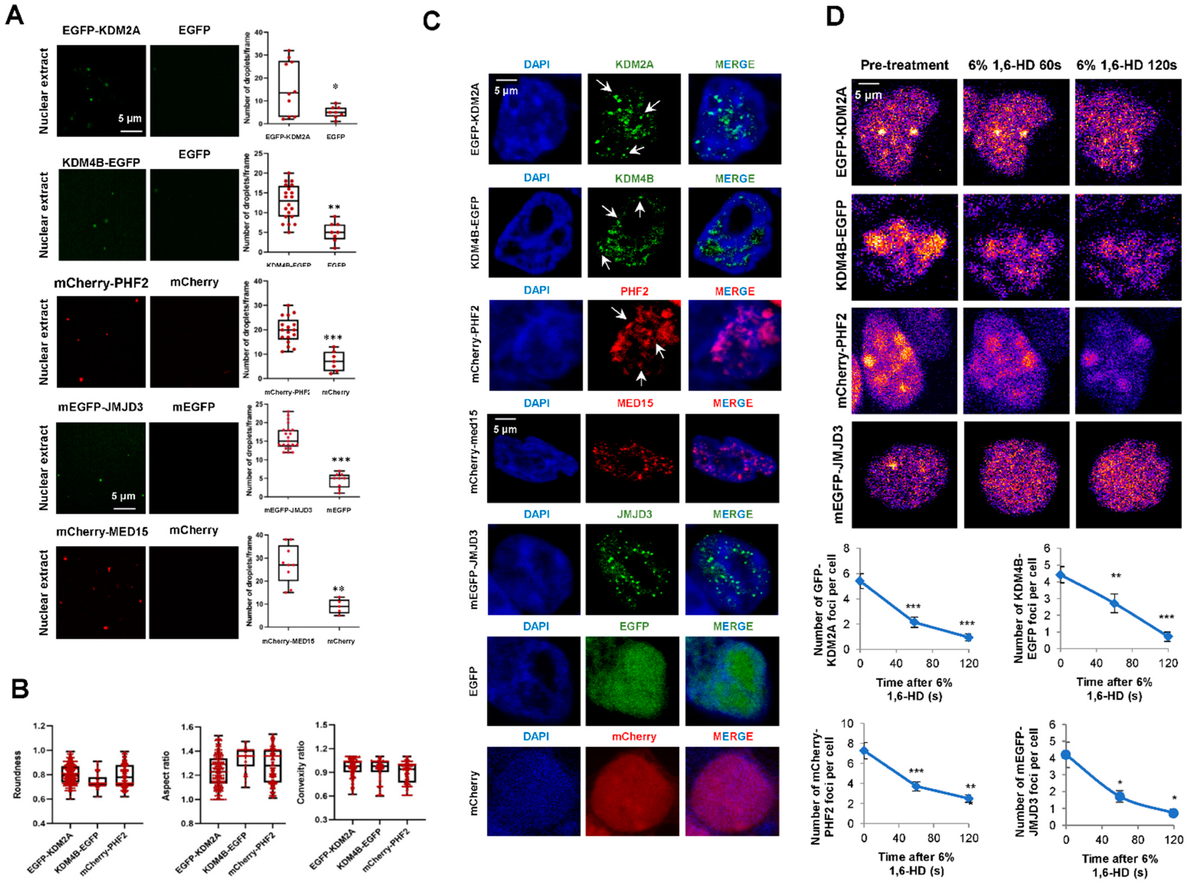 Ijms 23 07664 g004 550