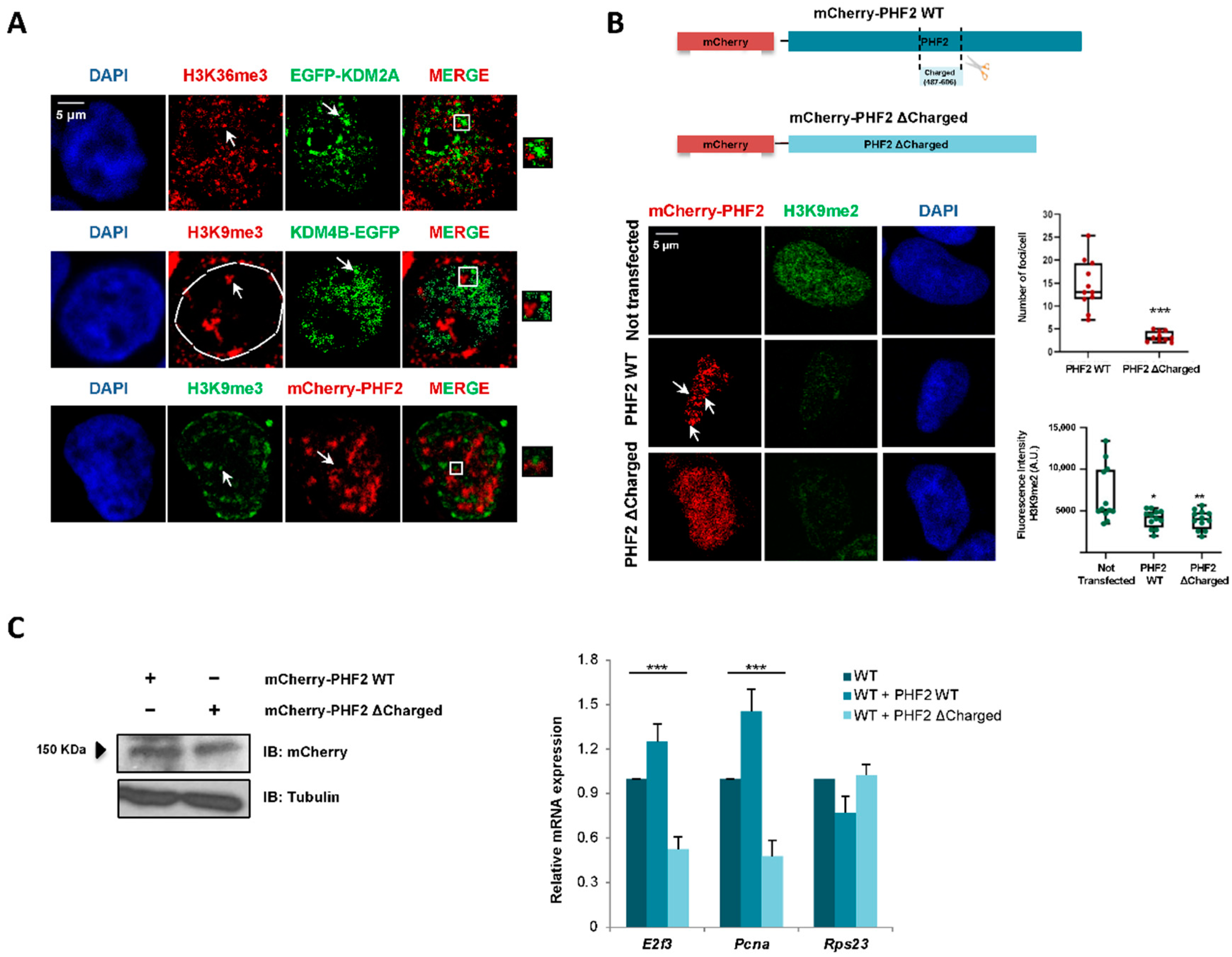 Ijms 23 07664 g005 550