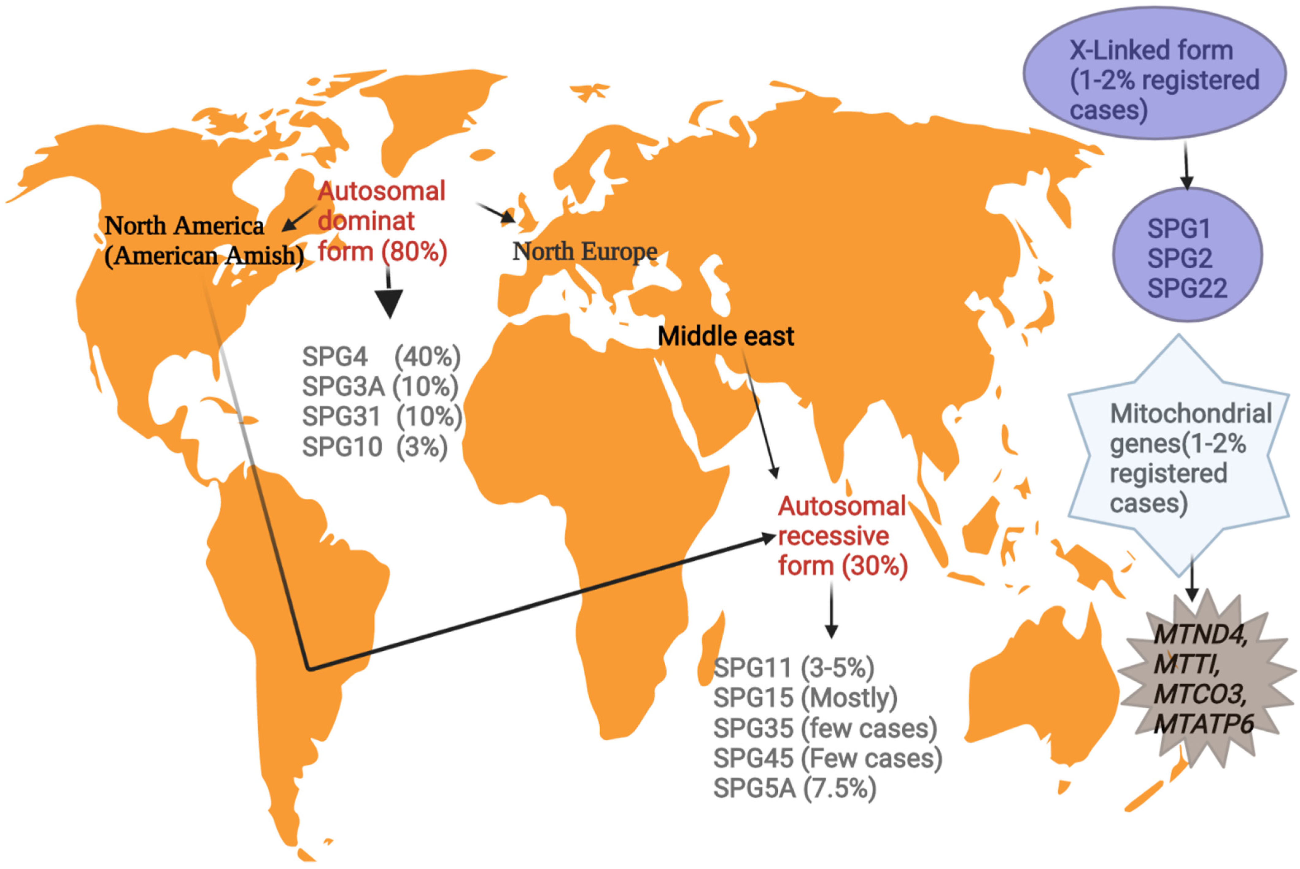 Ijms 23 07665 g001 550