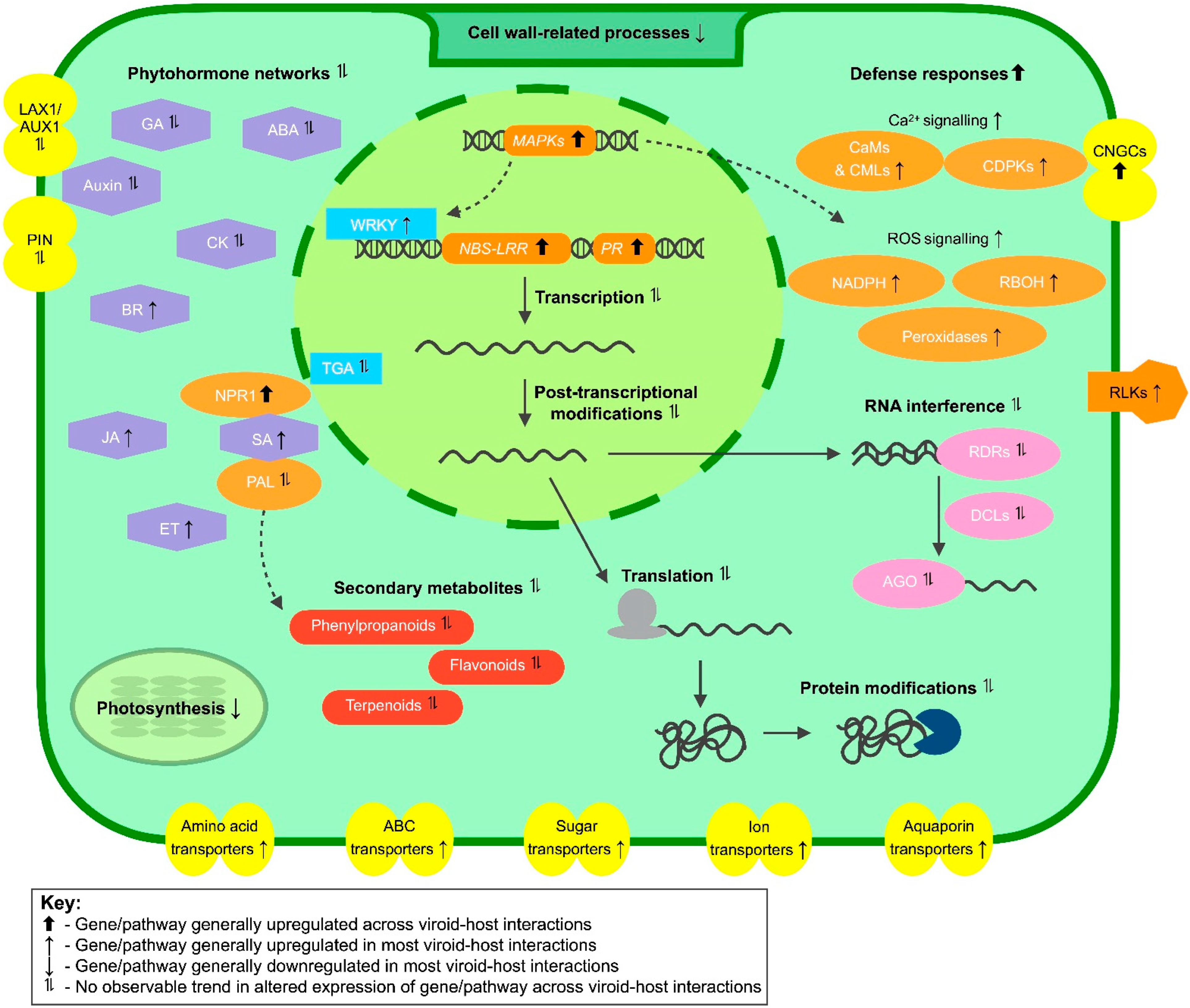 Ijms 23 07677 g001 550