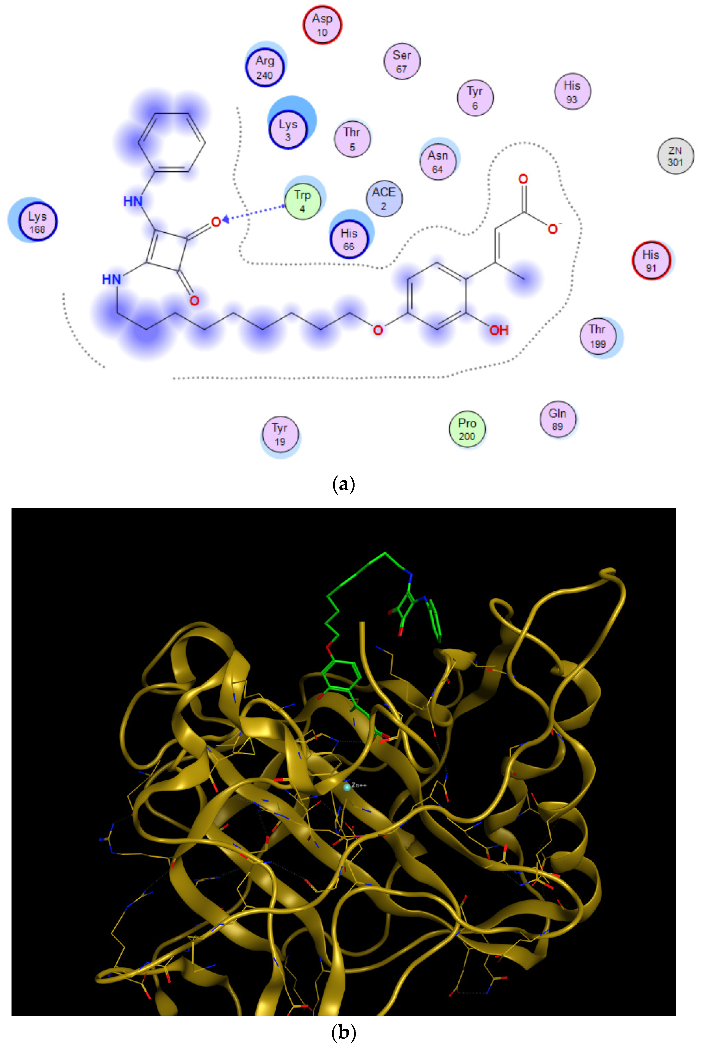 Ijms 23 07685 g005 550