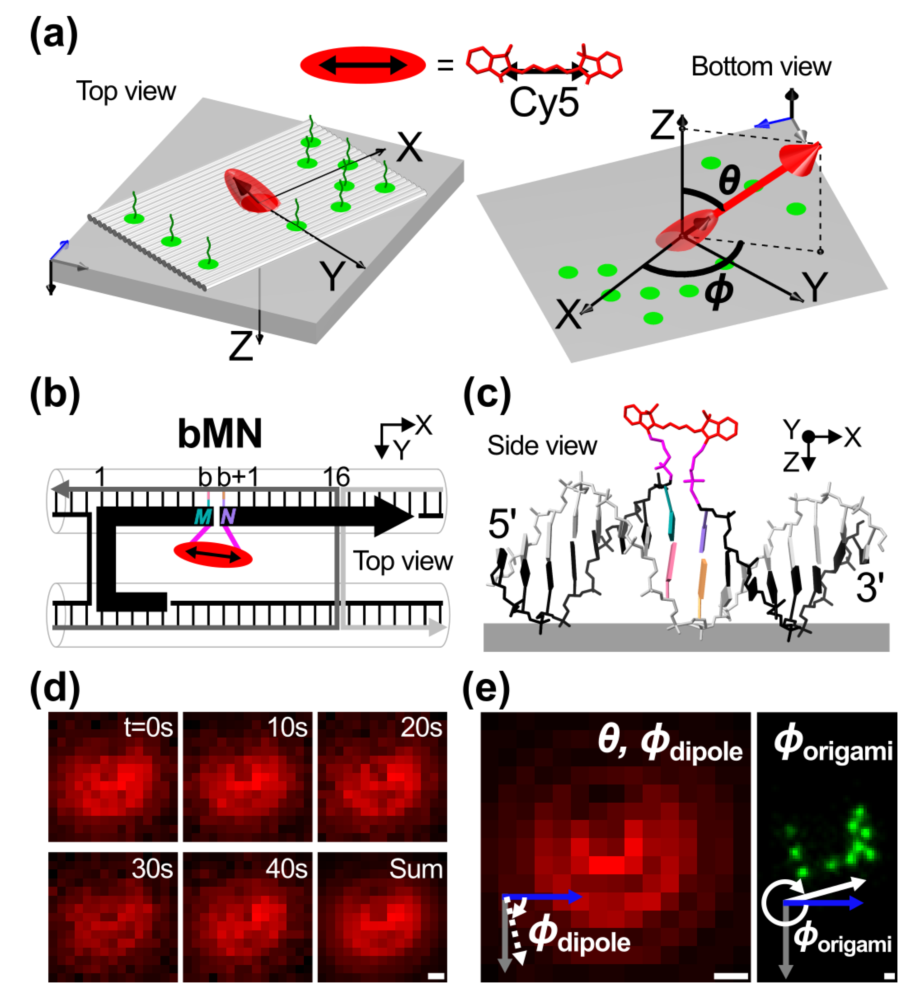Ijms 23 07690 g001 550