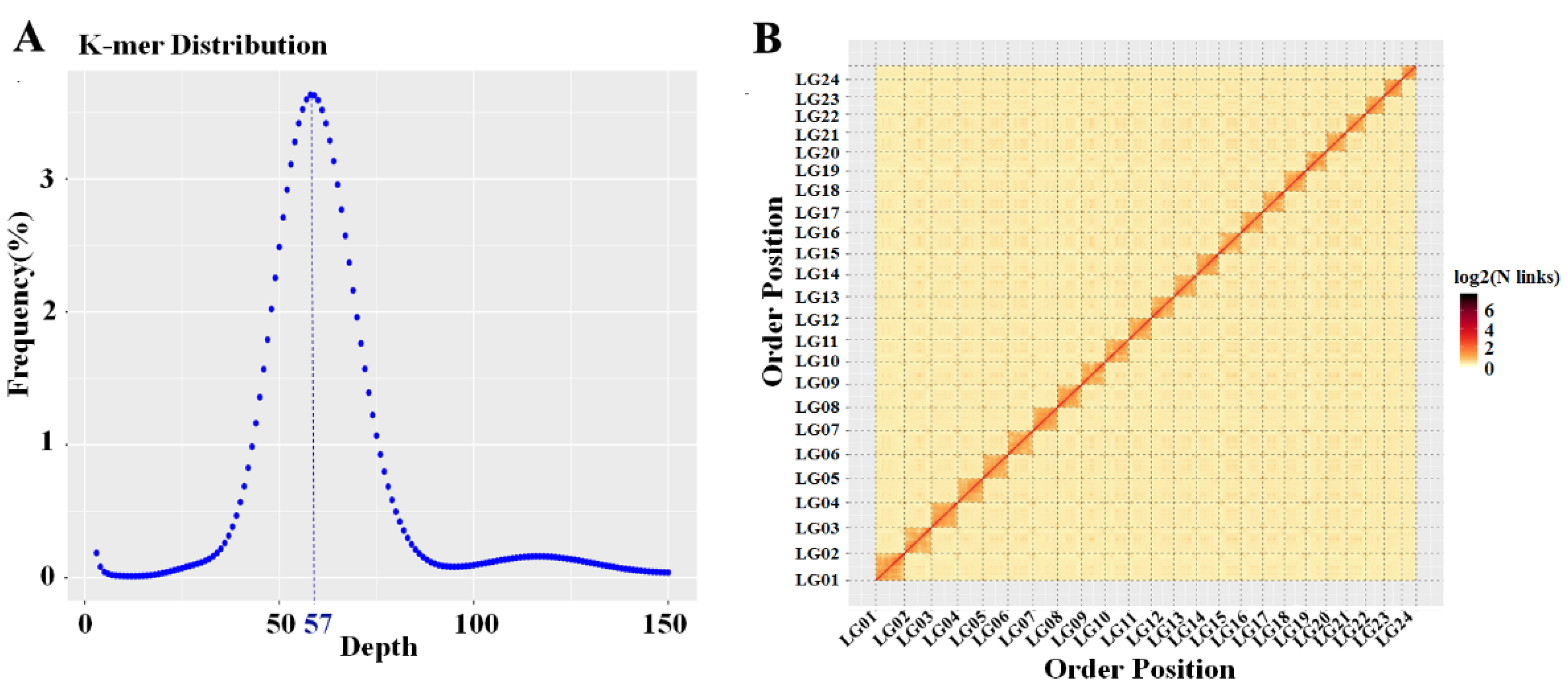 Ijms 23 07692 g001 Ijms 23 07692 g001