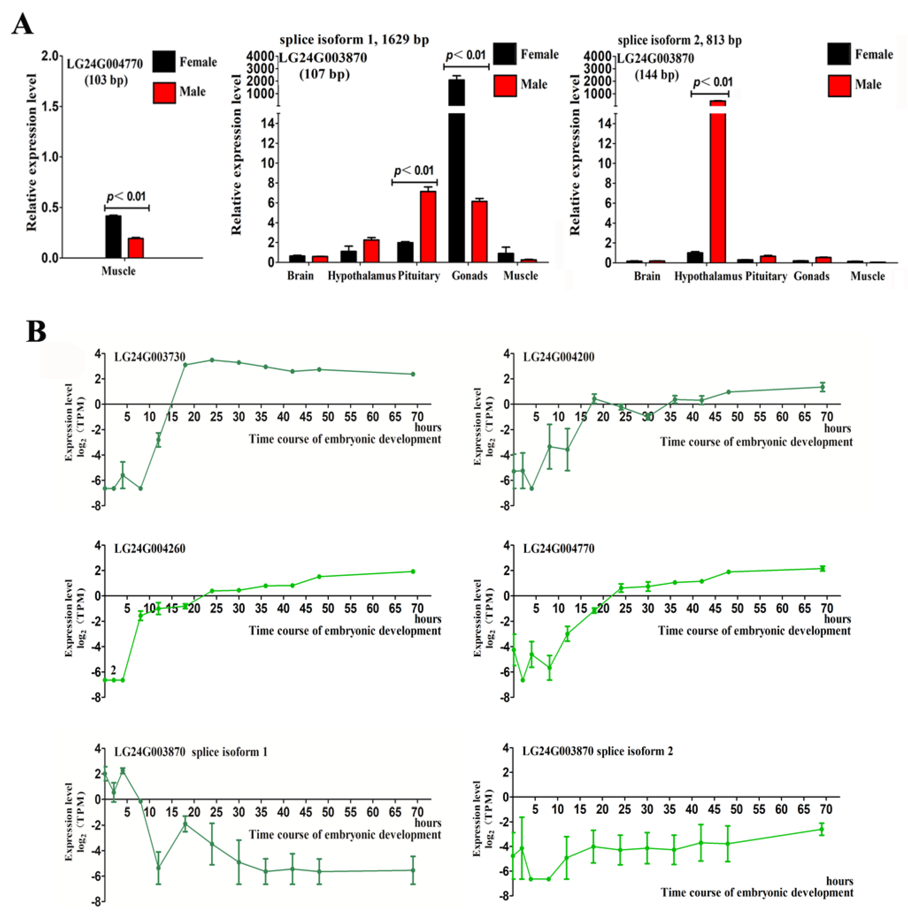 Ijms 23 07692 g004 Ijms 23 07692 g004