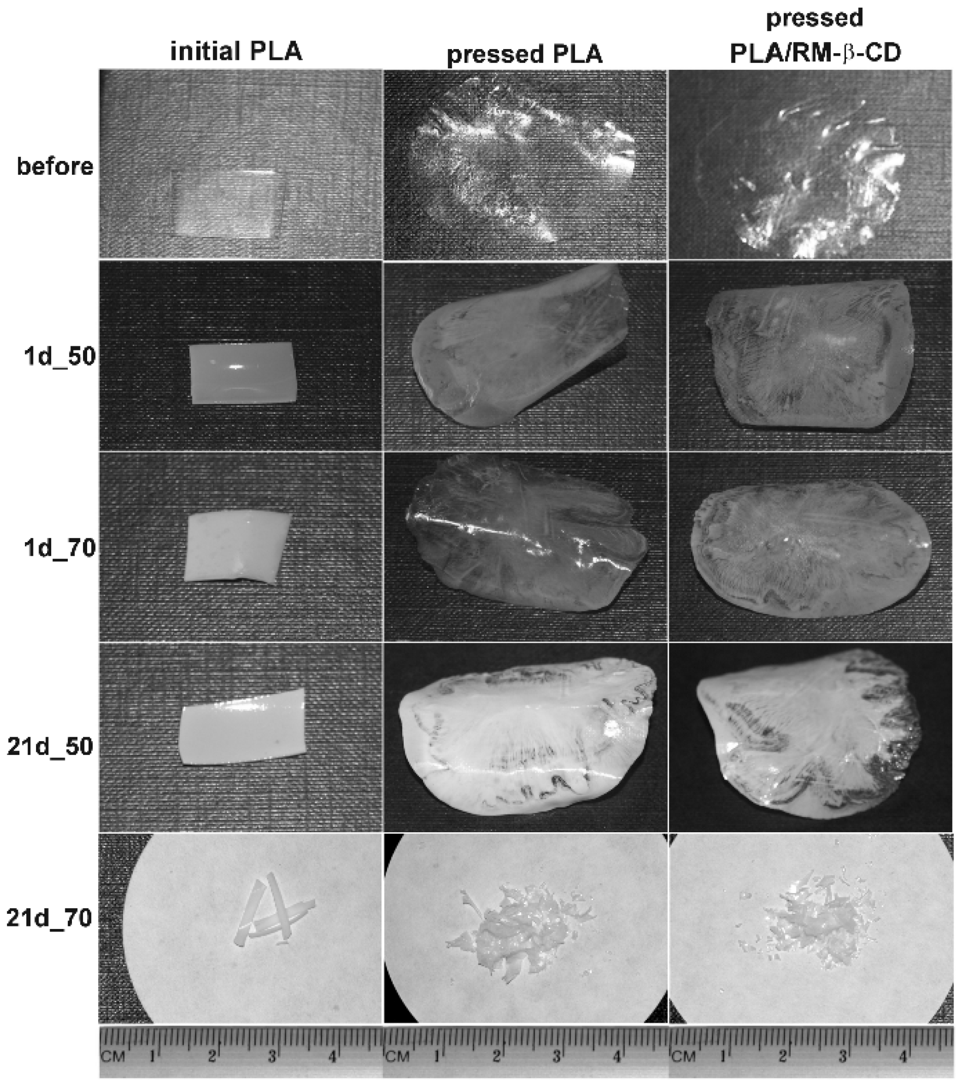 Ijms 23 07693 g001 550