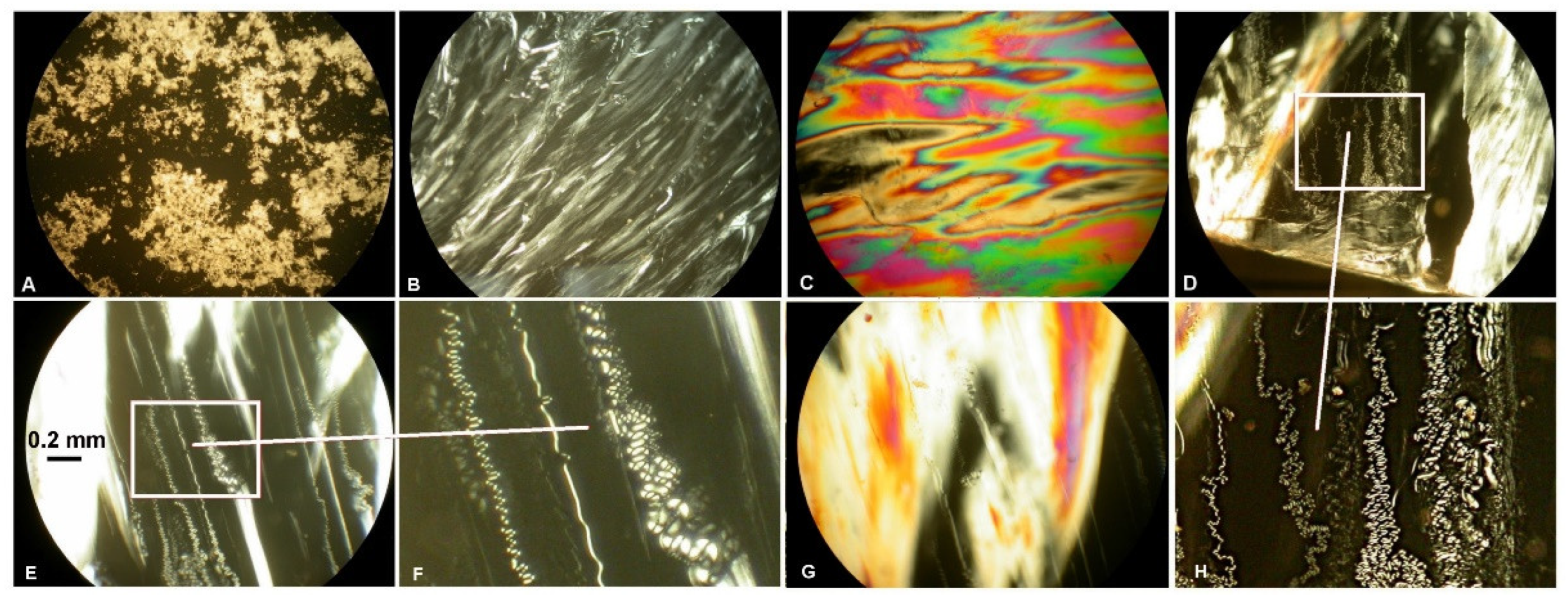 Ijms 23 07693 g003 550