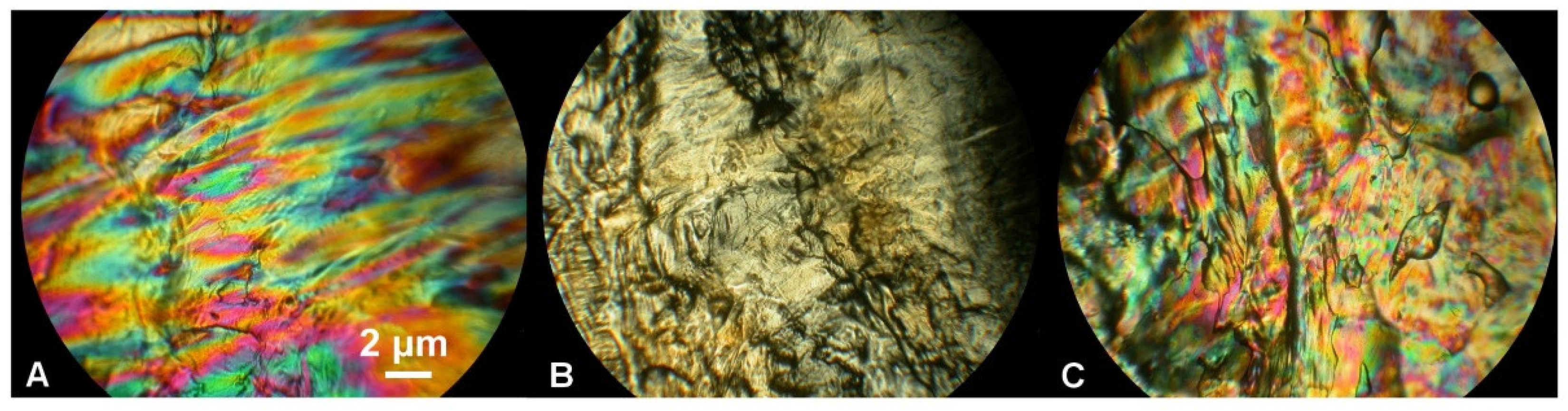 Ijms 23 07693 g005 550