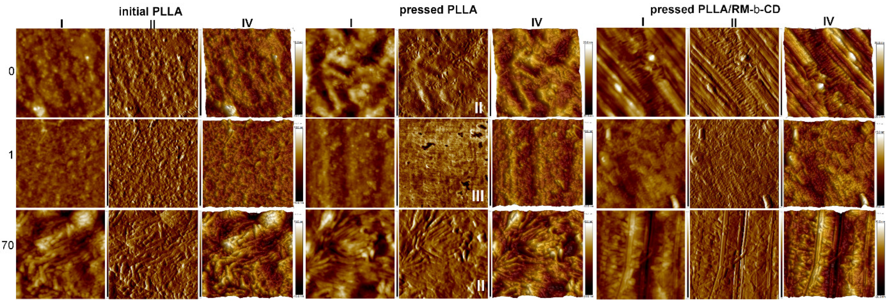 Ijms 23 07693 g008 550