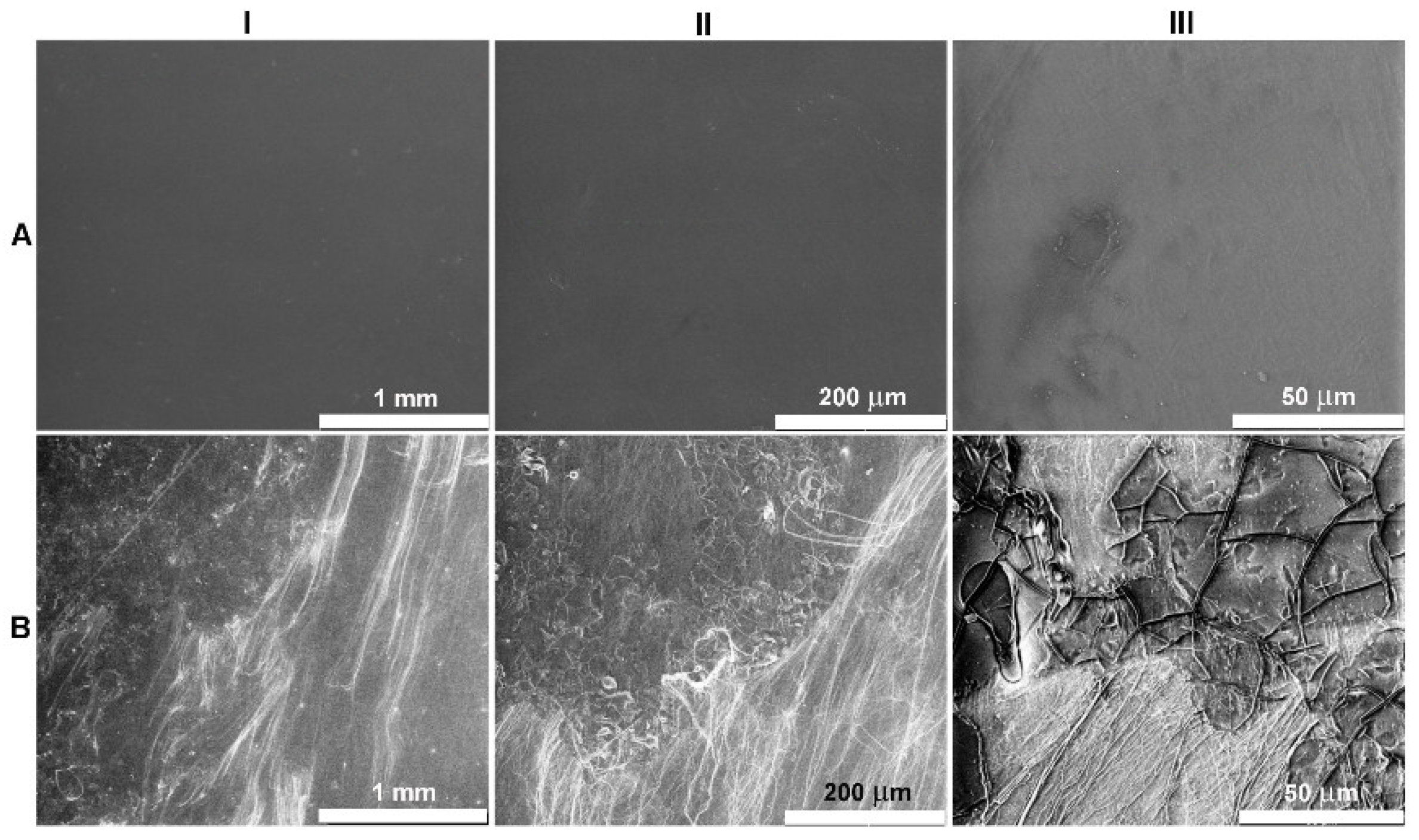 Ijms 23 07693 g009 550