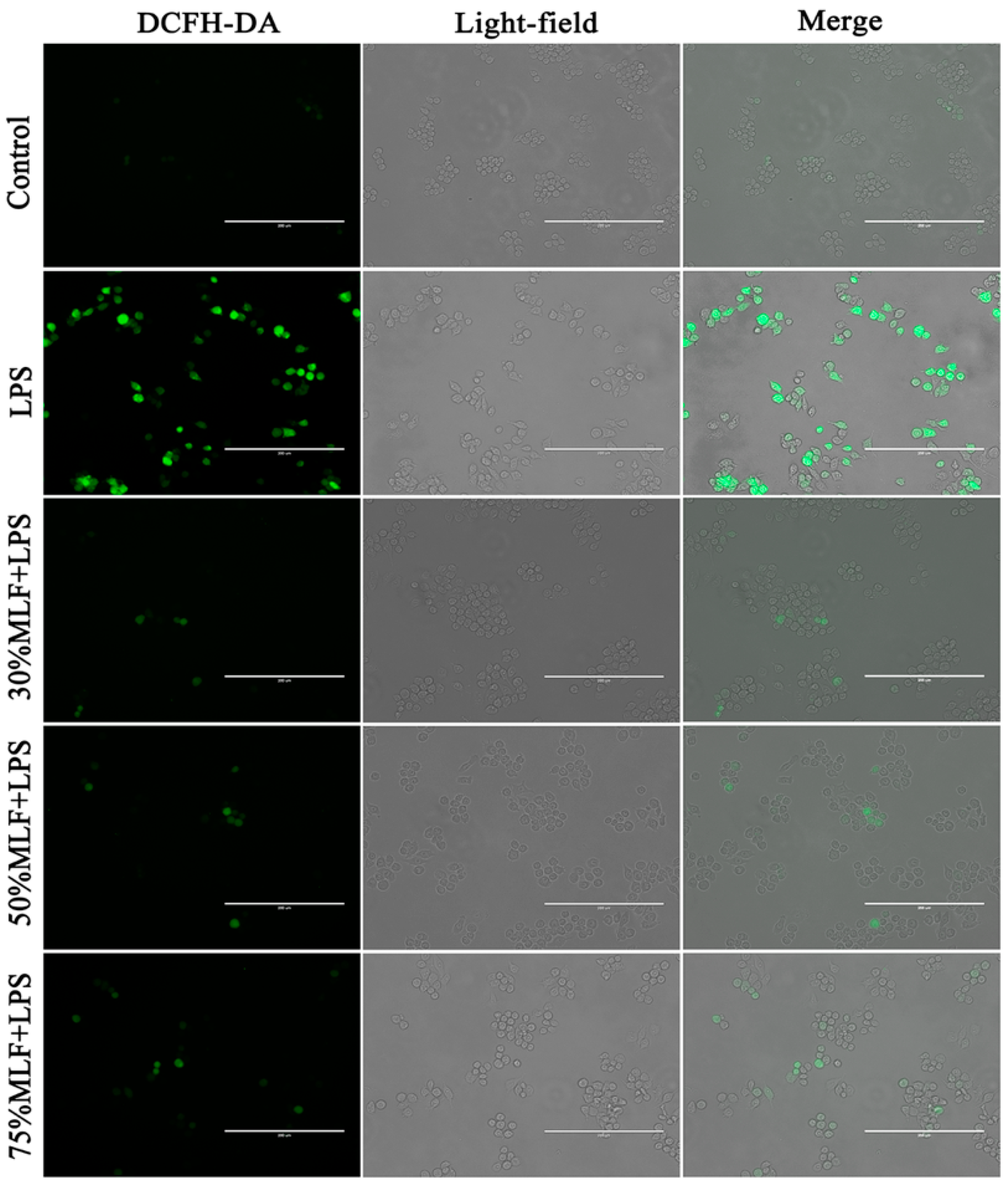 Ijms 23 07694 g004 550