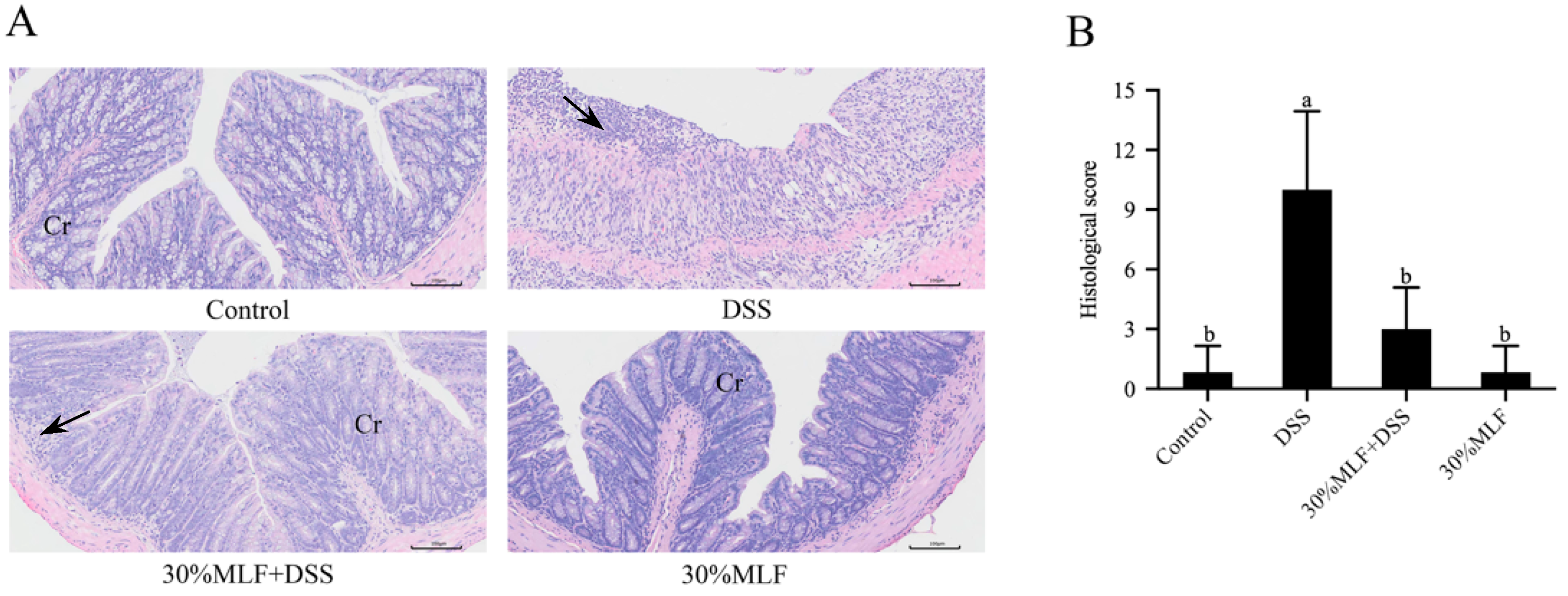 Ijms 23 07694 g008 550