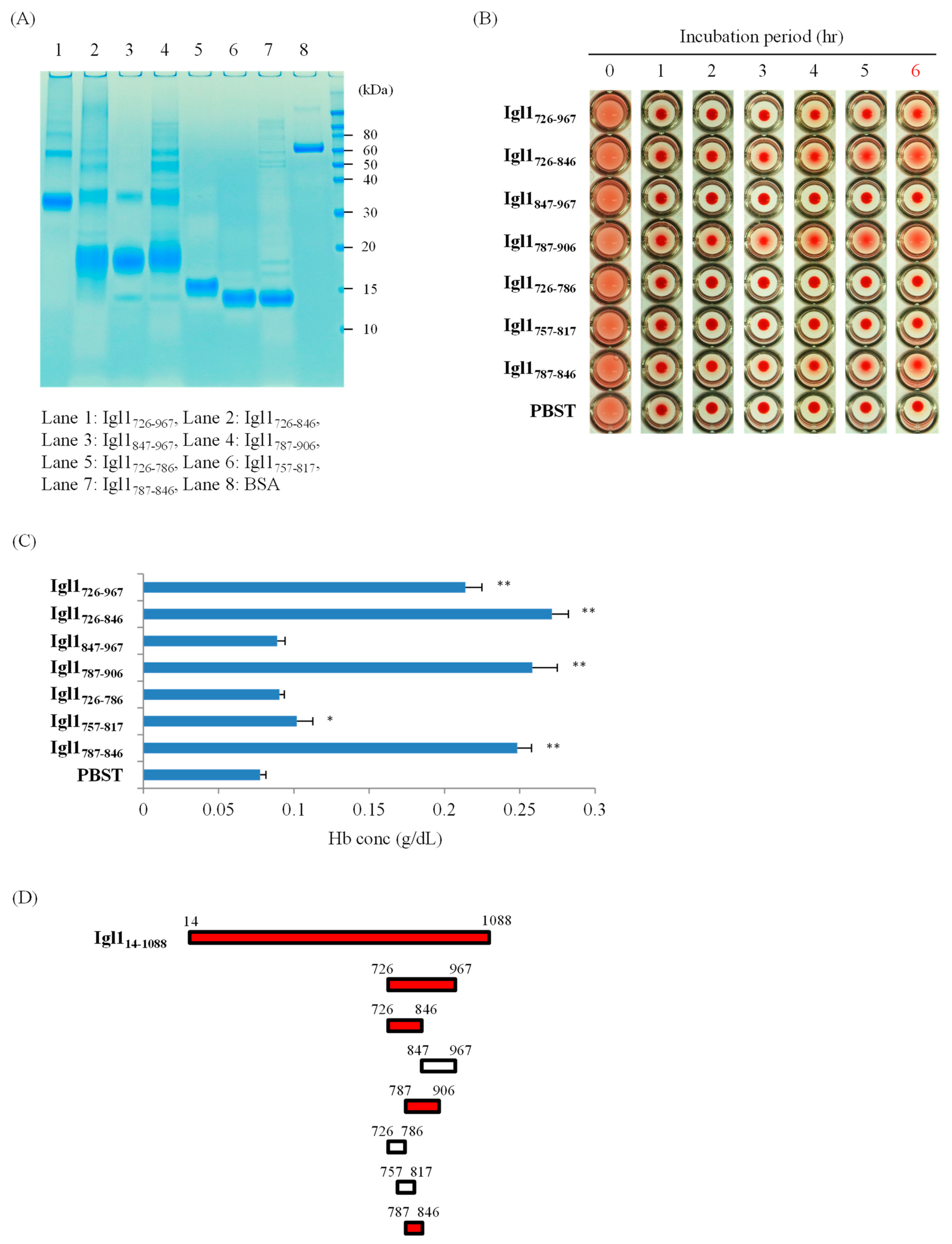Ijms 23 07700 g001 Ijms 23 07700 g001