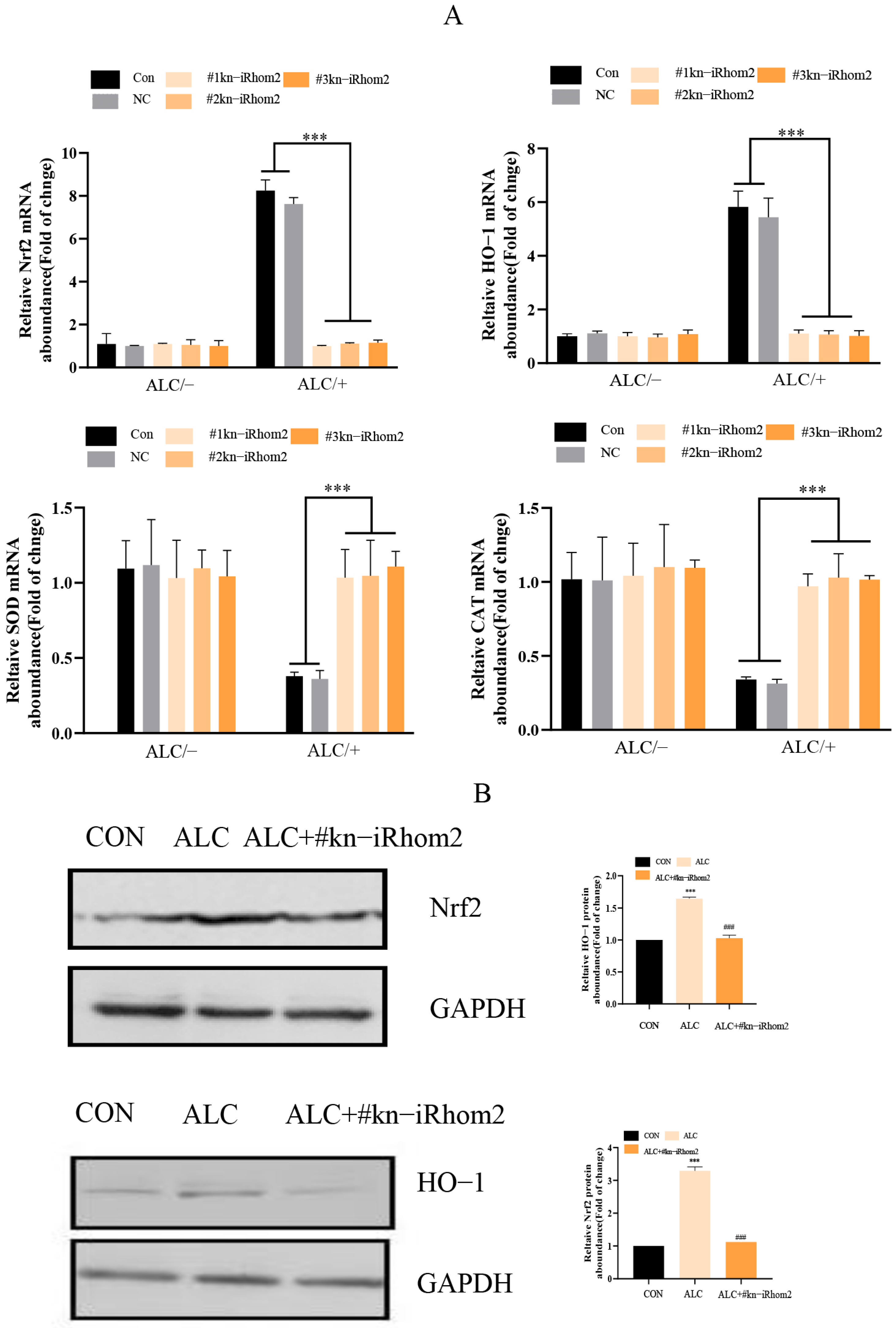 Ijms 23 07701 g005a 550