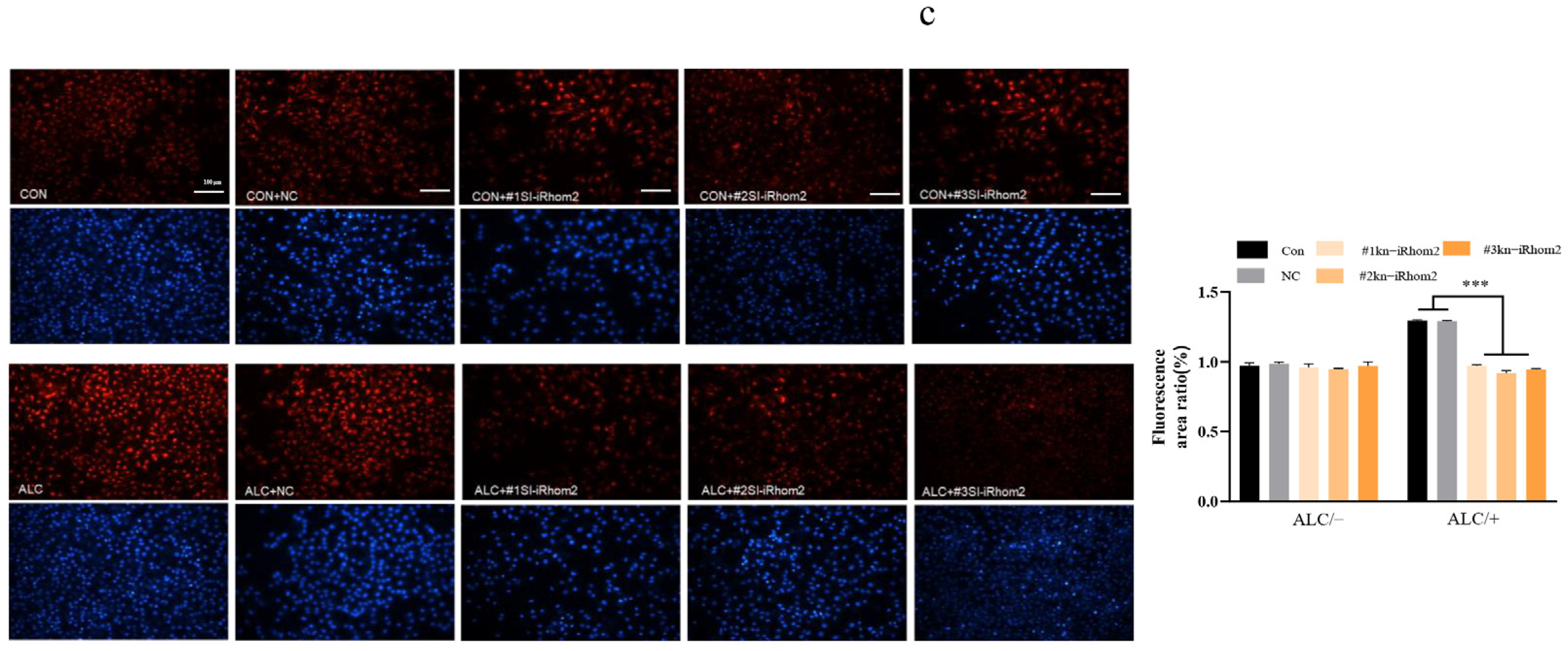 Ijms 23 07701 g005b 550