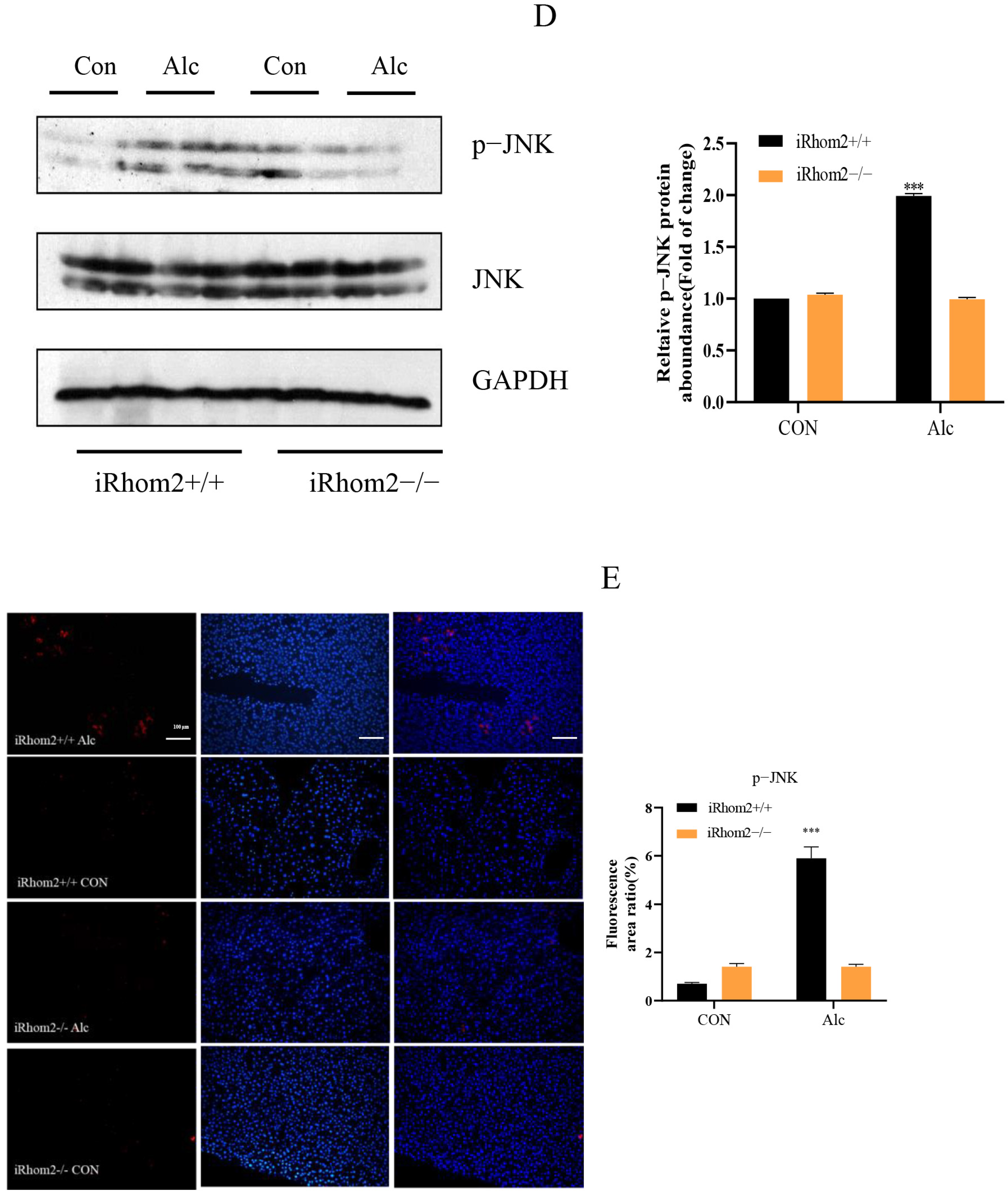 Ijms 23 07701 g006b 550