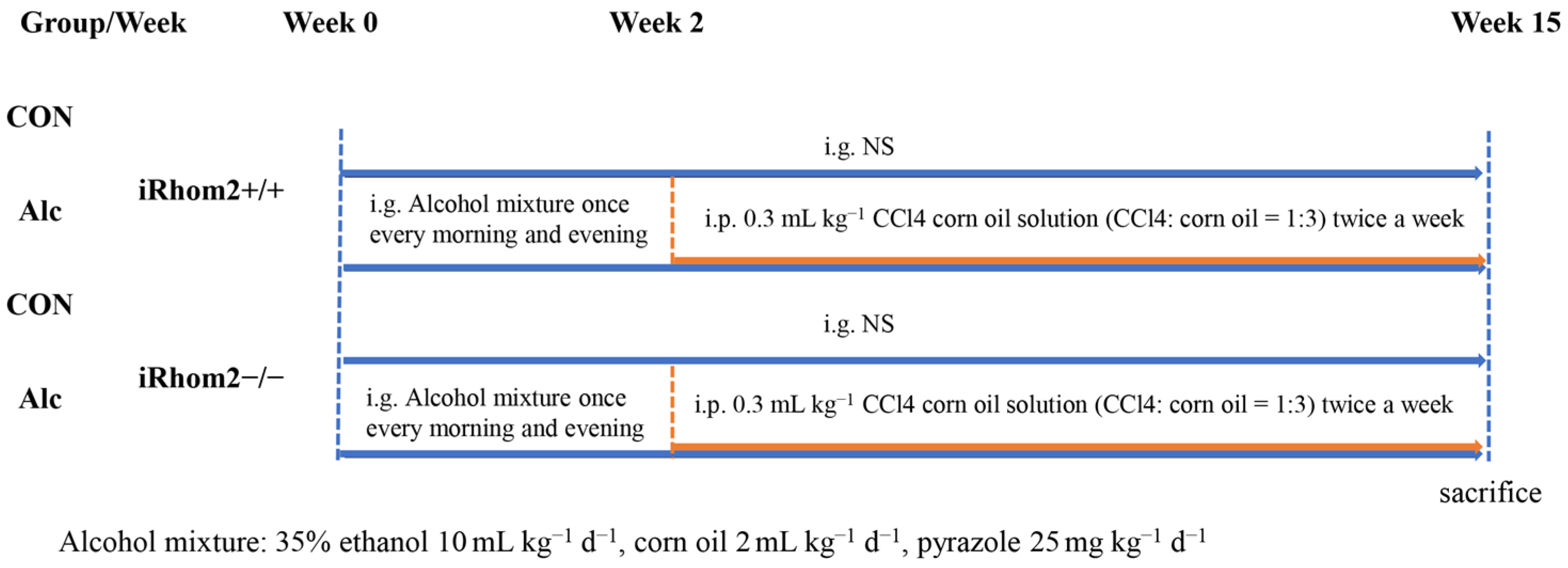 Ijms 23 07701 g008 550