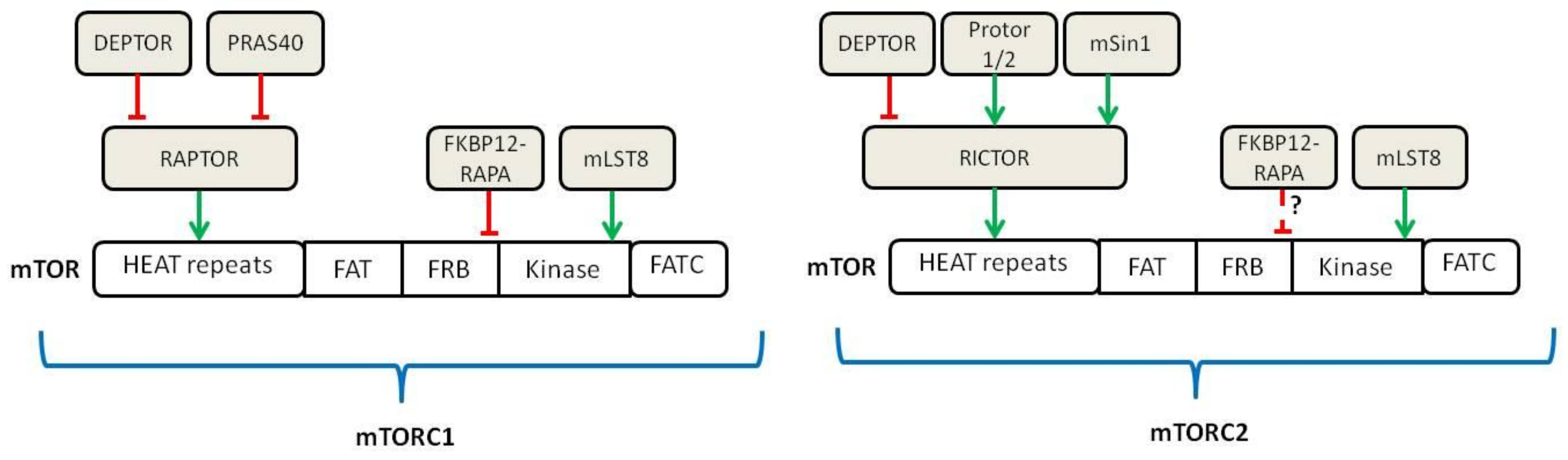 Ijms 23 07707 g001 550