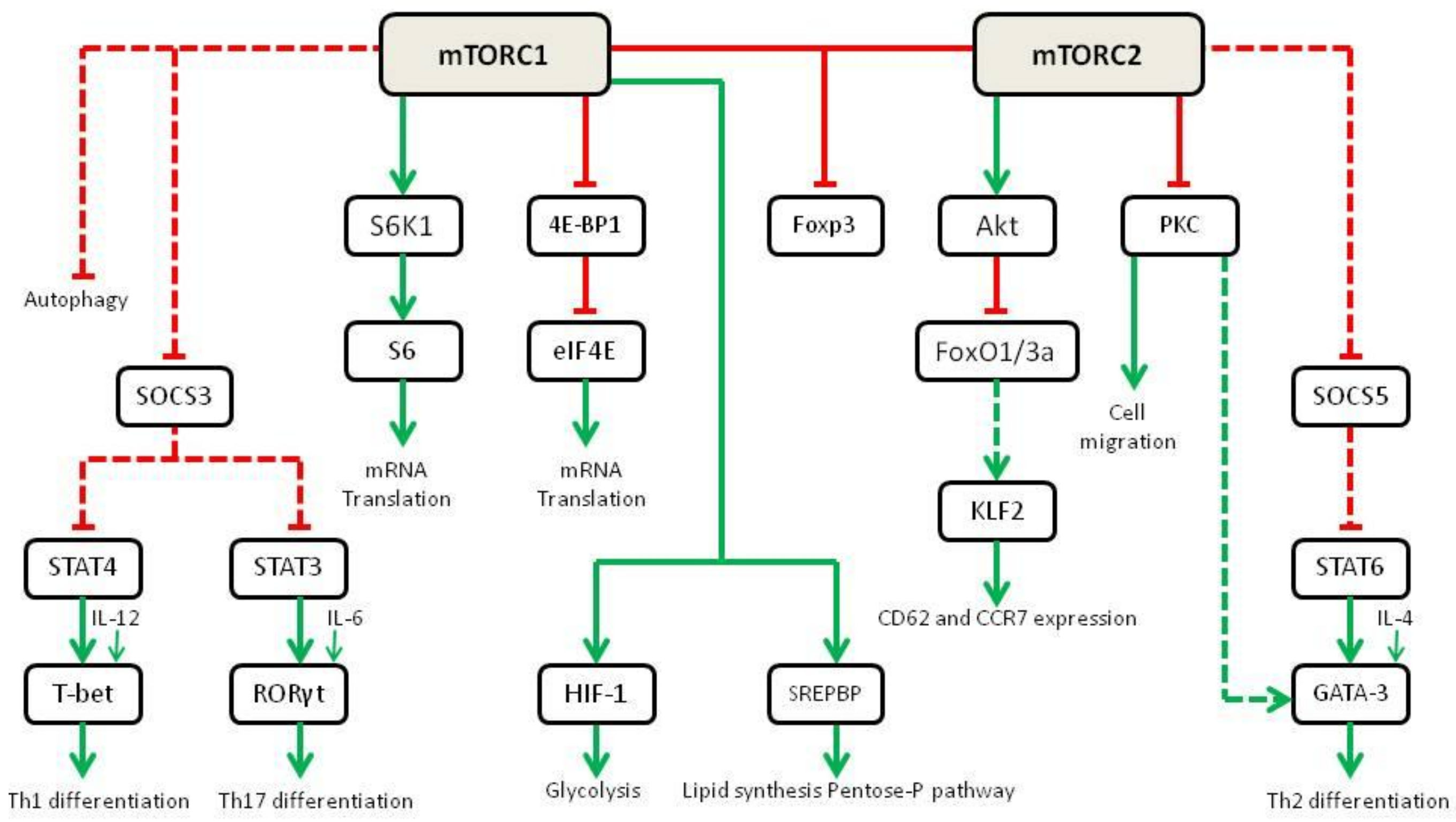 Ijms 23 07707 g004 550