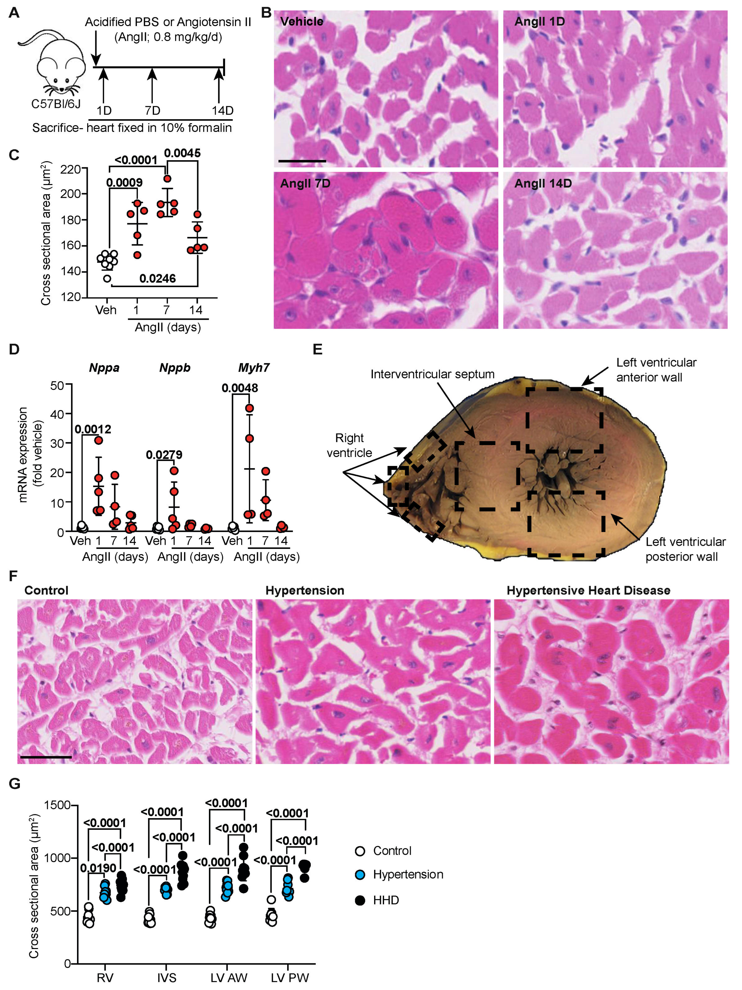 Ijms 23 07709 g001 Ijms 23 07709 g001