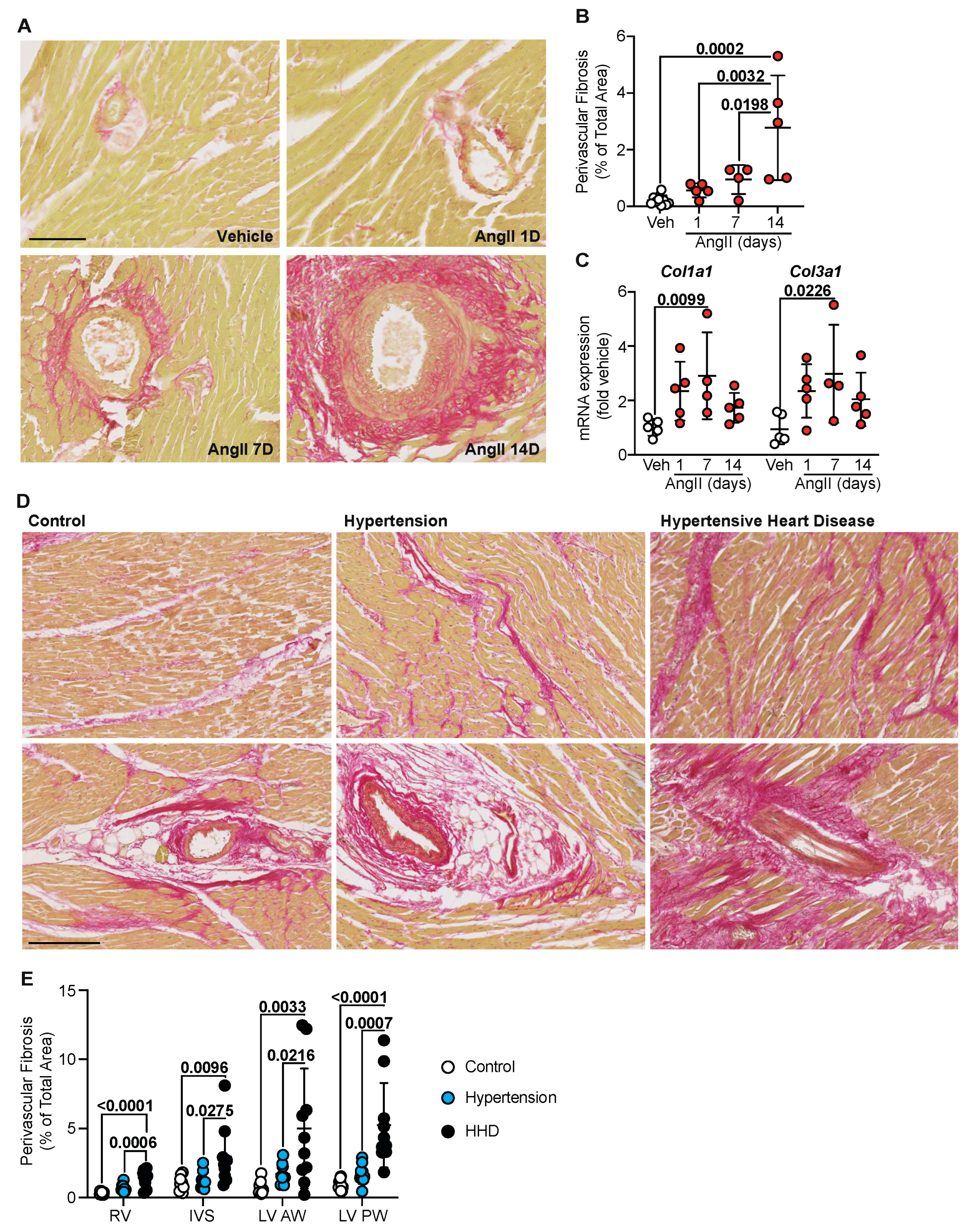 Ijms 23 07709 g002 Ijms 23 07709 g002