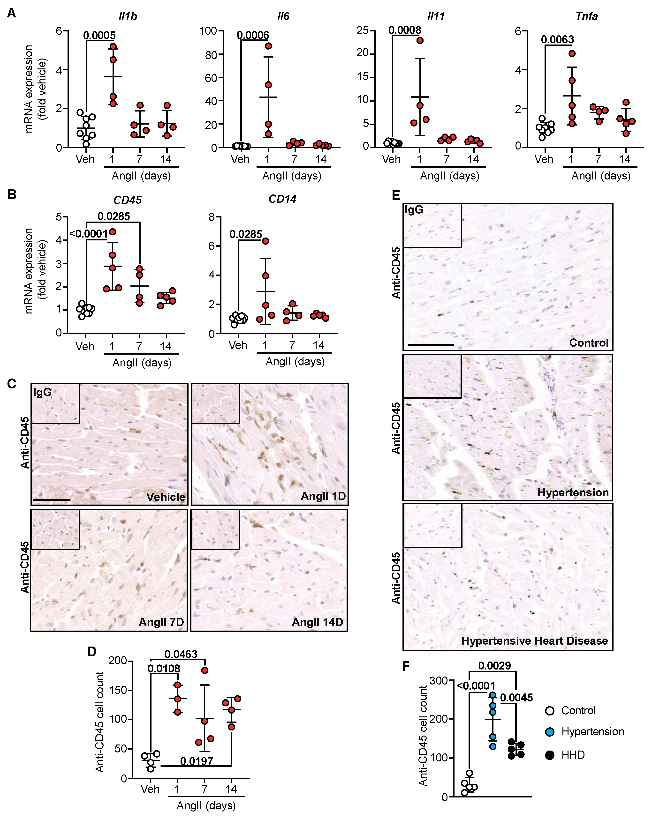 Ijms 23 07709 g004 Ijms 23 07709 g004