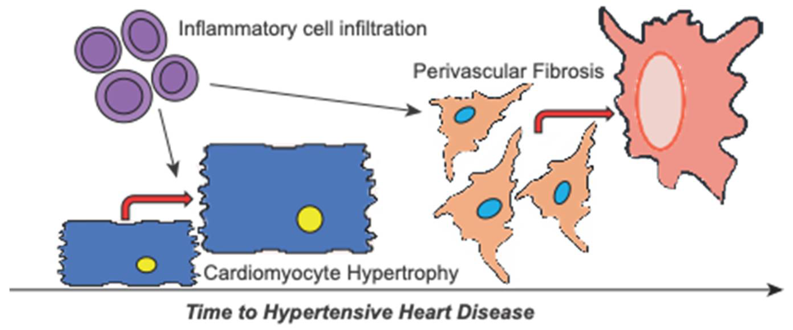 Ijms 23 07709 g005 Ijms 23 07709 g005