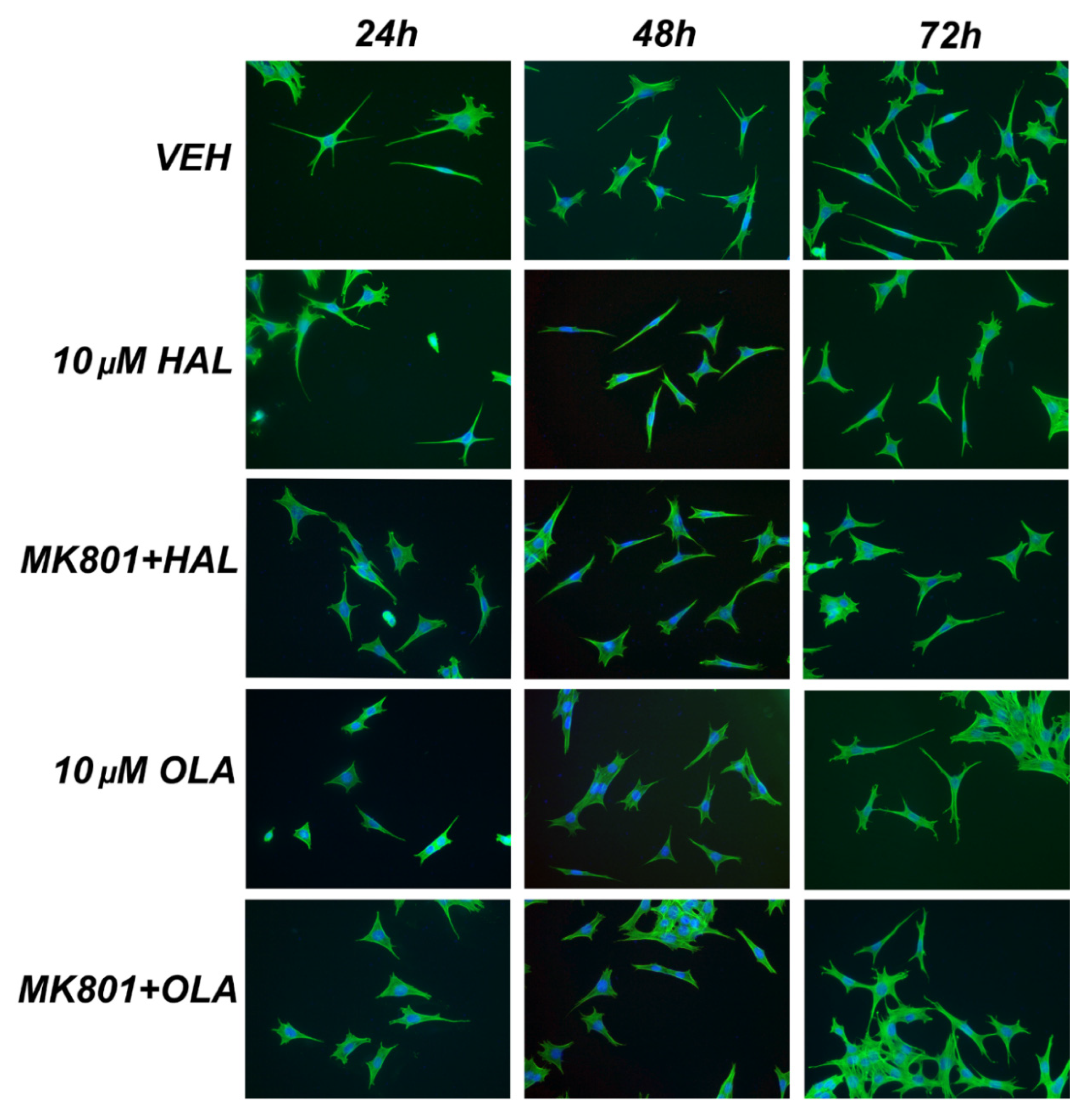 Ijms 23 07711 g002 550