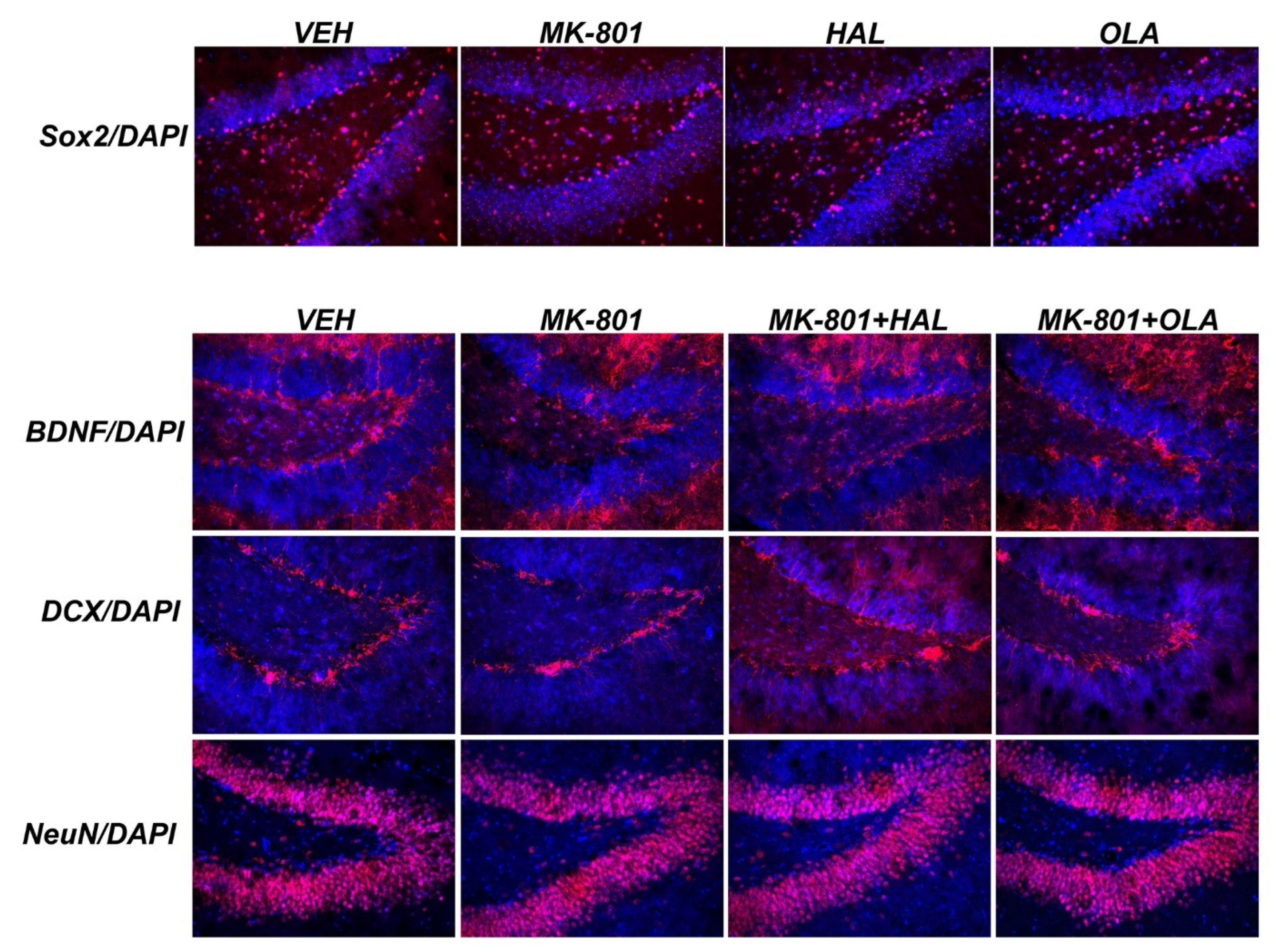 Ijms 23 07711 g004 550