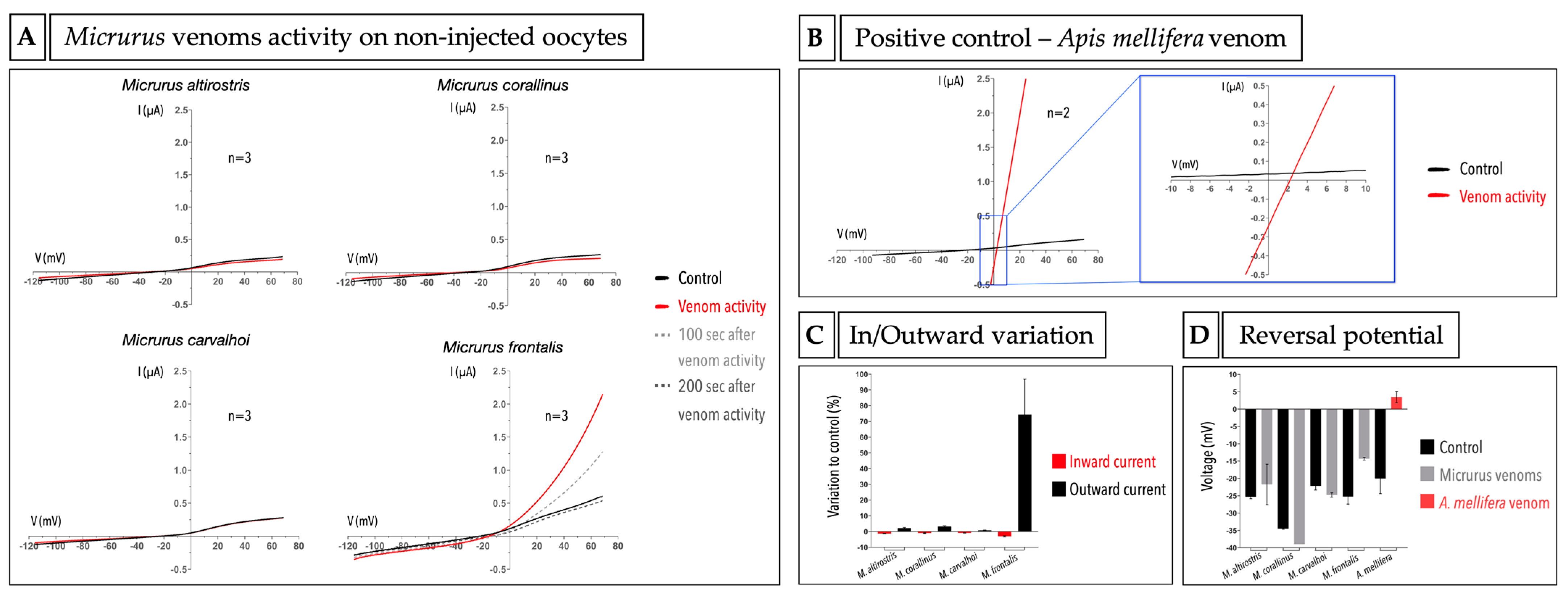 Ijms 23 07714 g003 Ijms 23 07714 g003