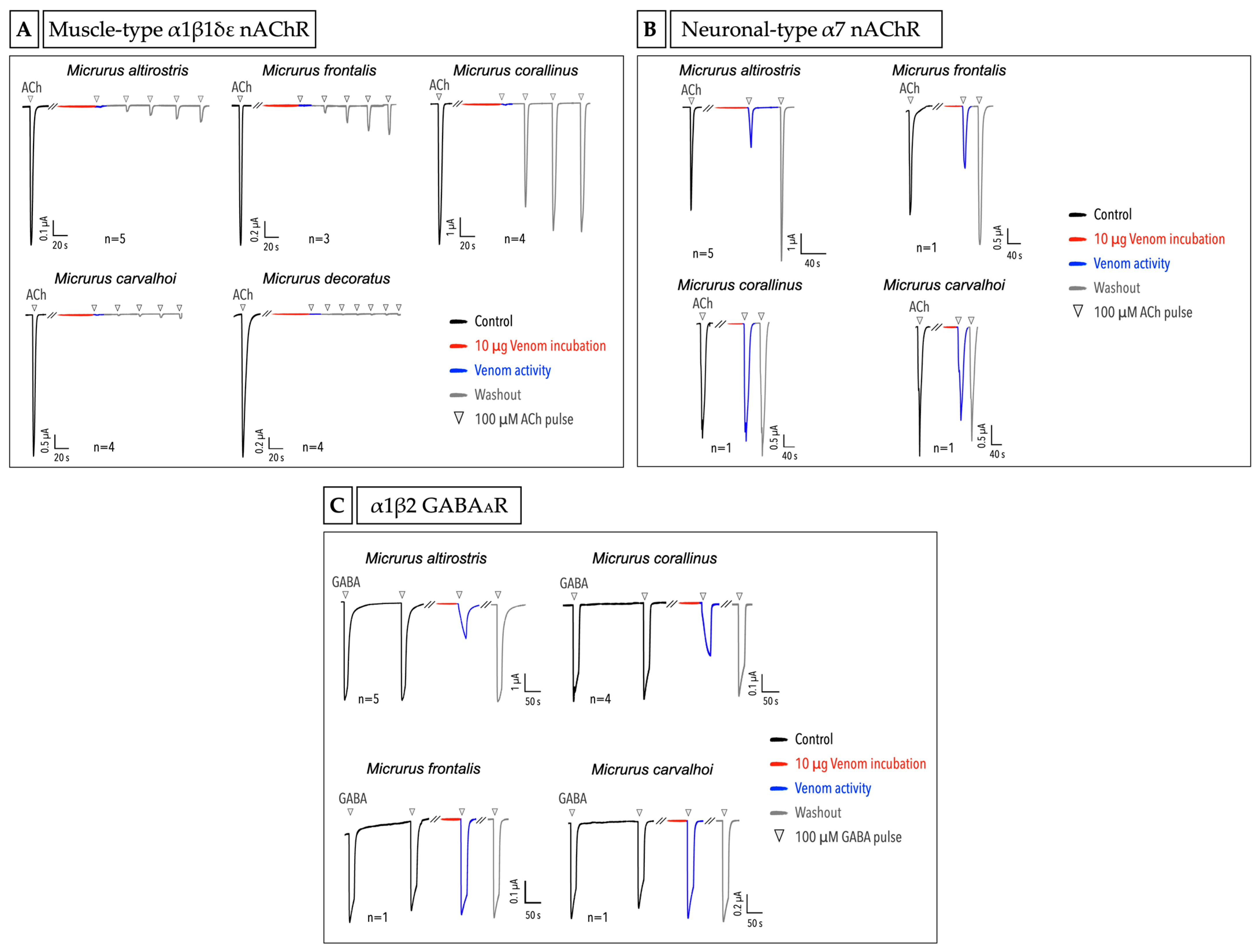 Ijms 23 07714 g005 Ijms 23 07714 g005