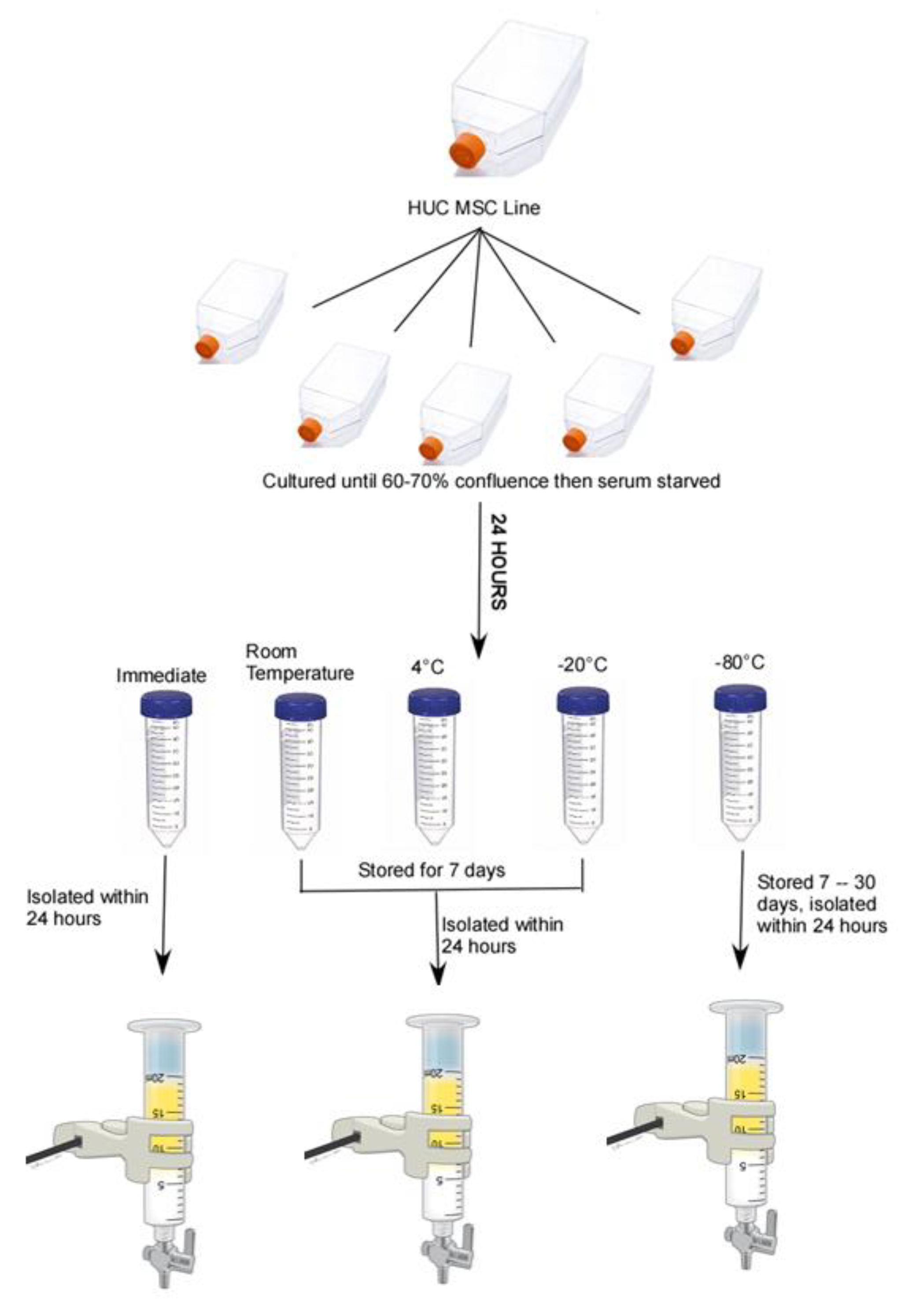 Ijms 23 07716 g001 550