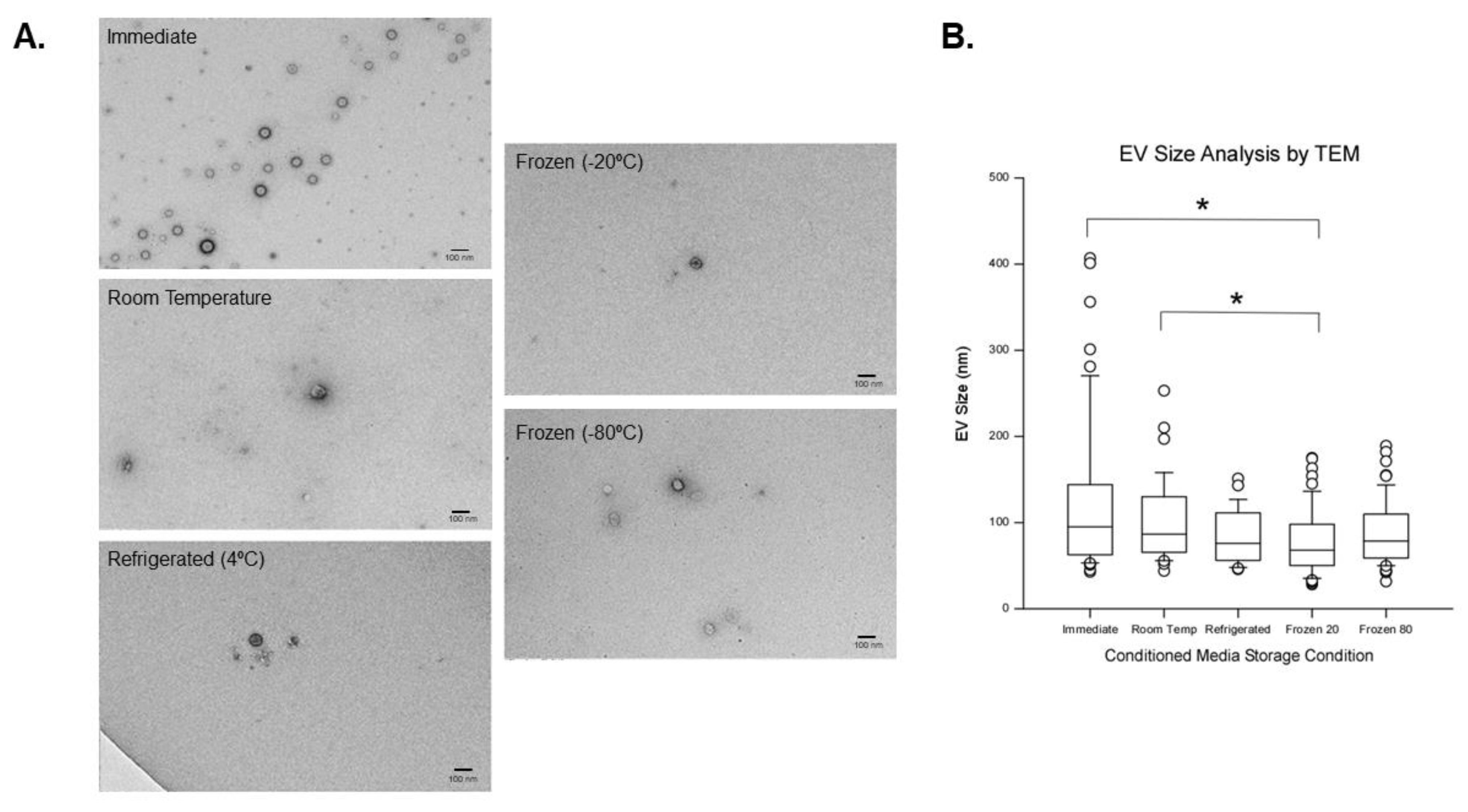 Ijms 23 07716 g005 550