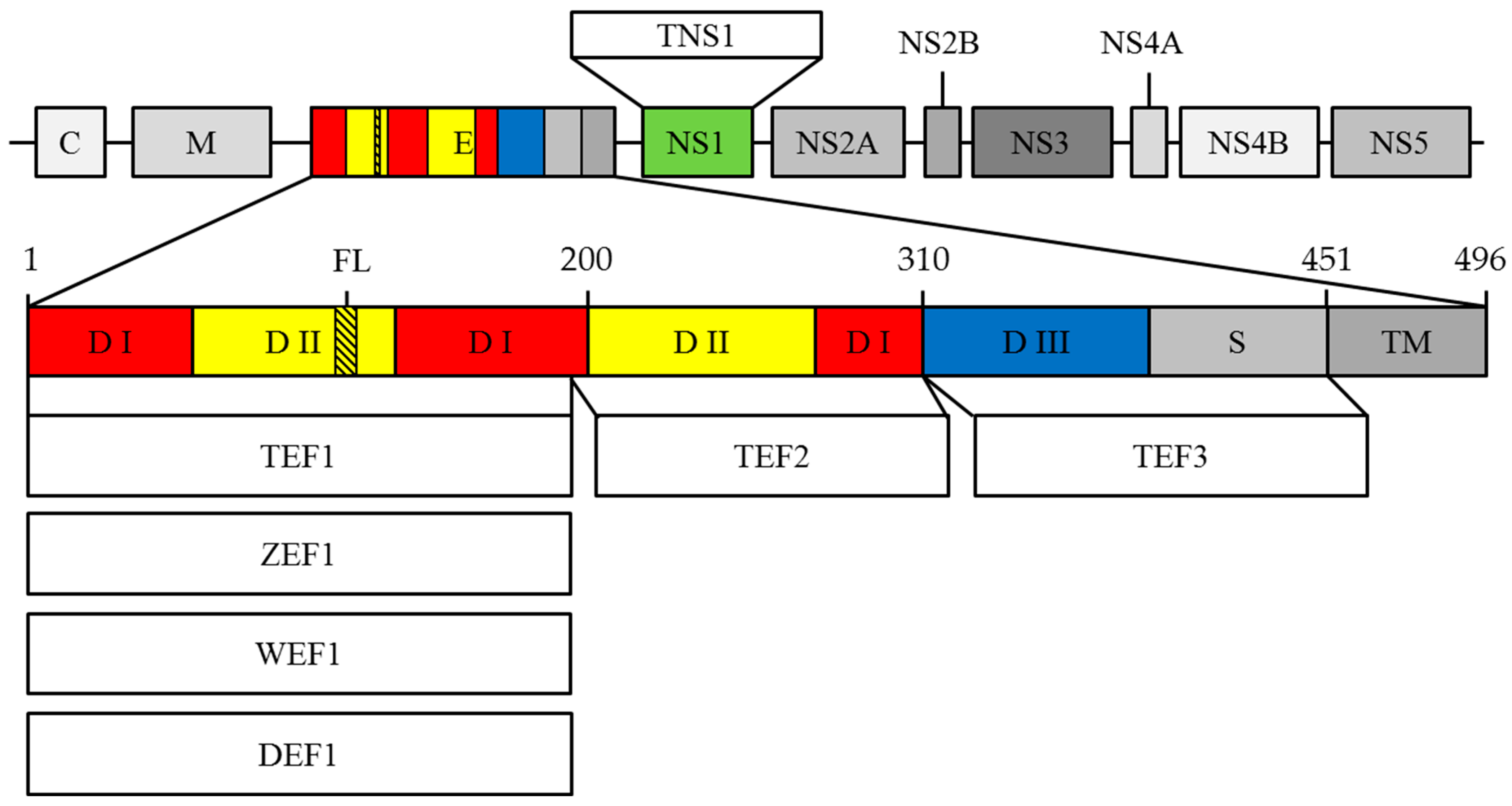 Ijms 23 07721 g001 550